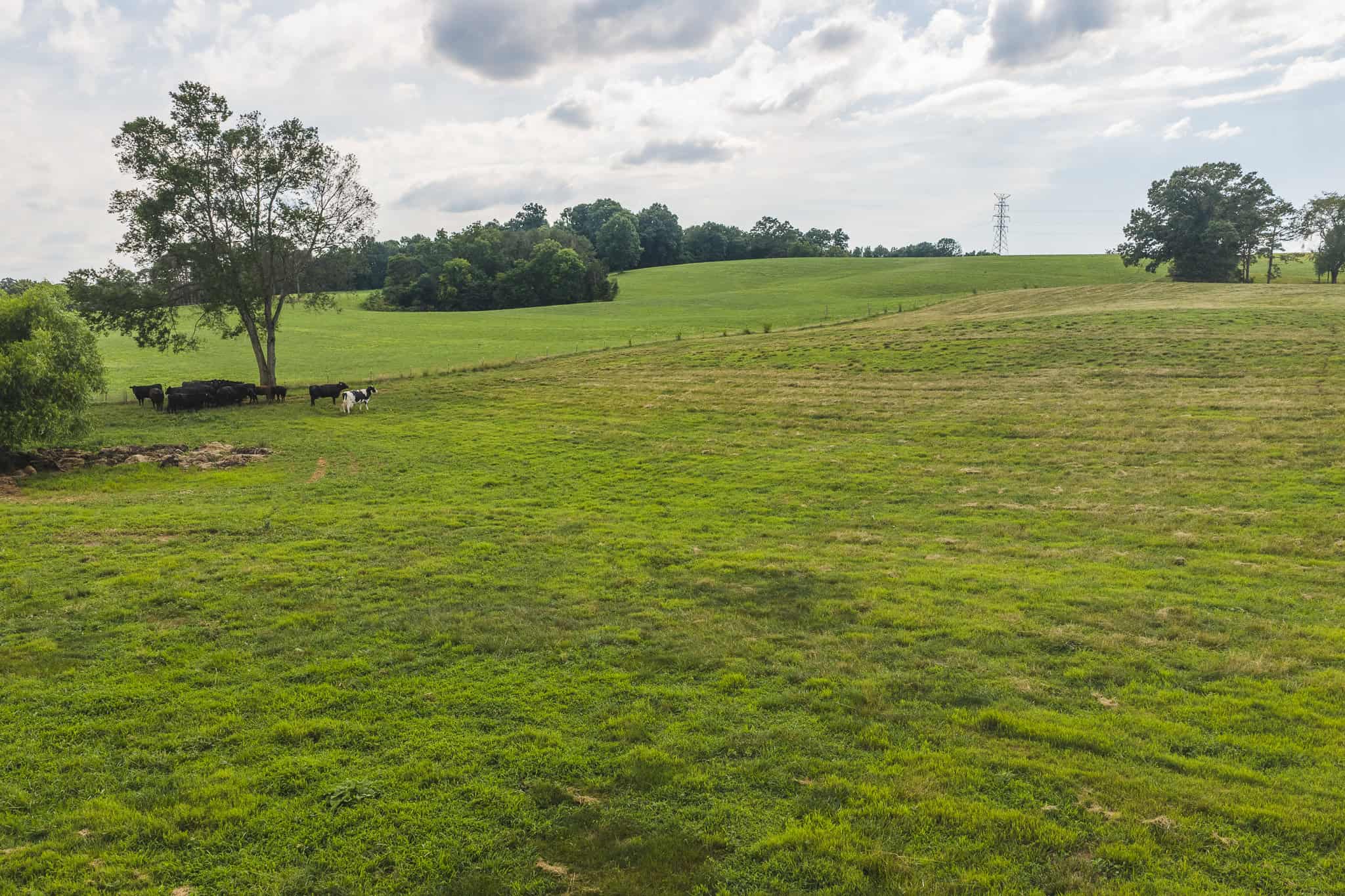 Ranch-Farm for Sale-Hamblen County-Tennessee-Whitesburg-East TN