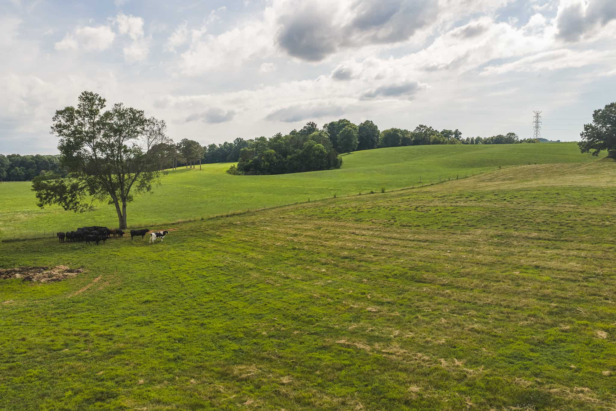 Ranch-Farm for Sale-Hamblen County-Tennessee-Whitesburg-East TN