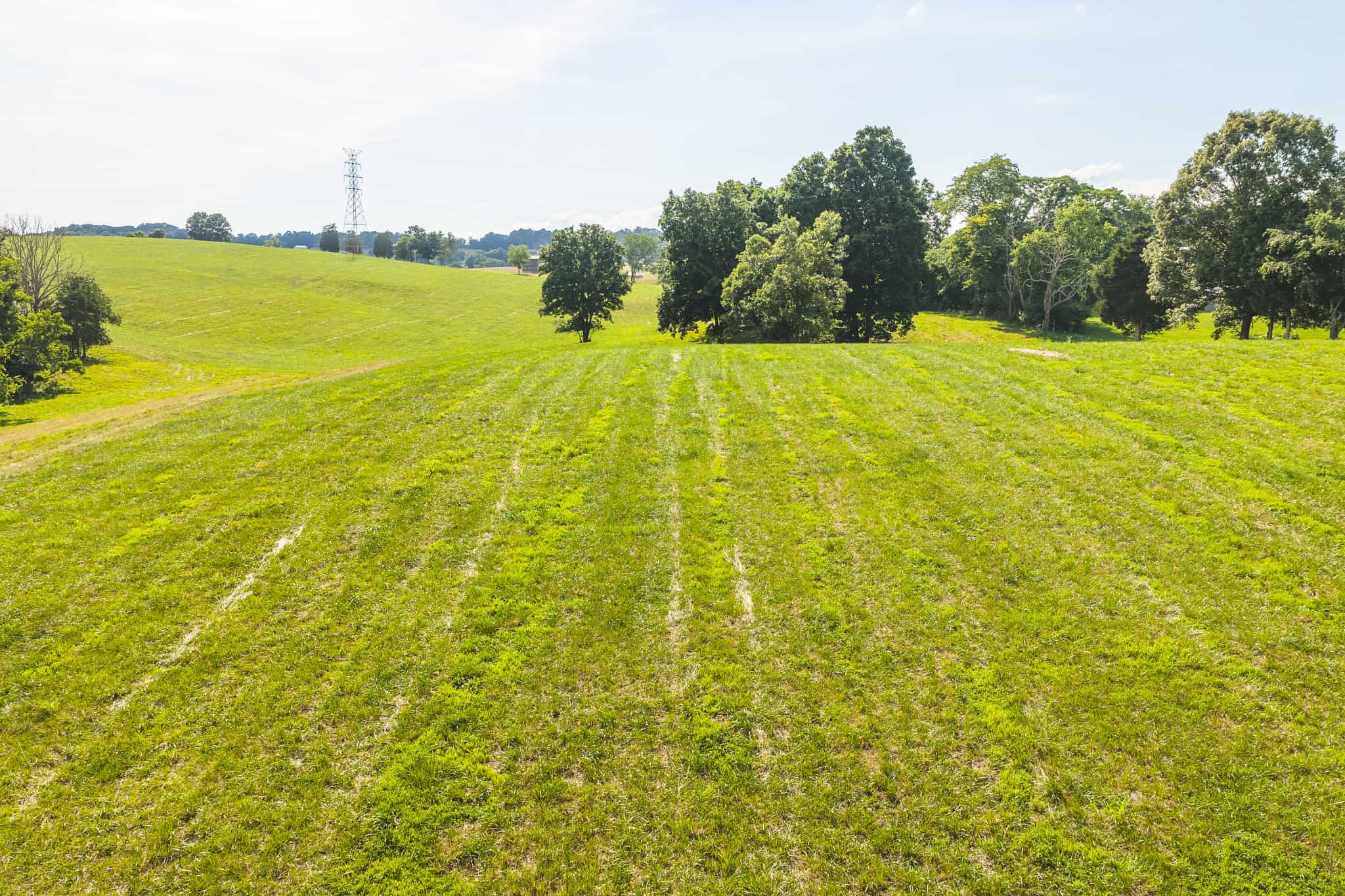 Ranch-Farm for Sale-Hamblen County-Tennessee-Whitesburg-East TN