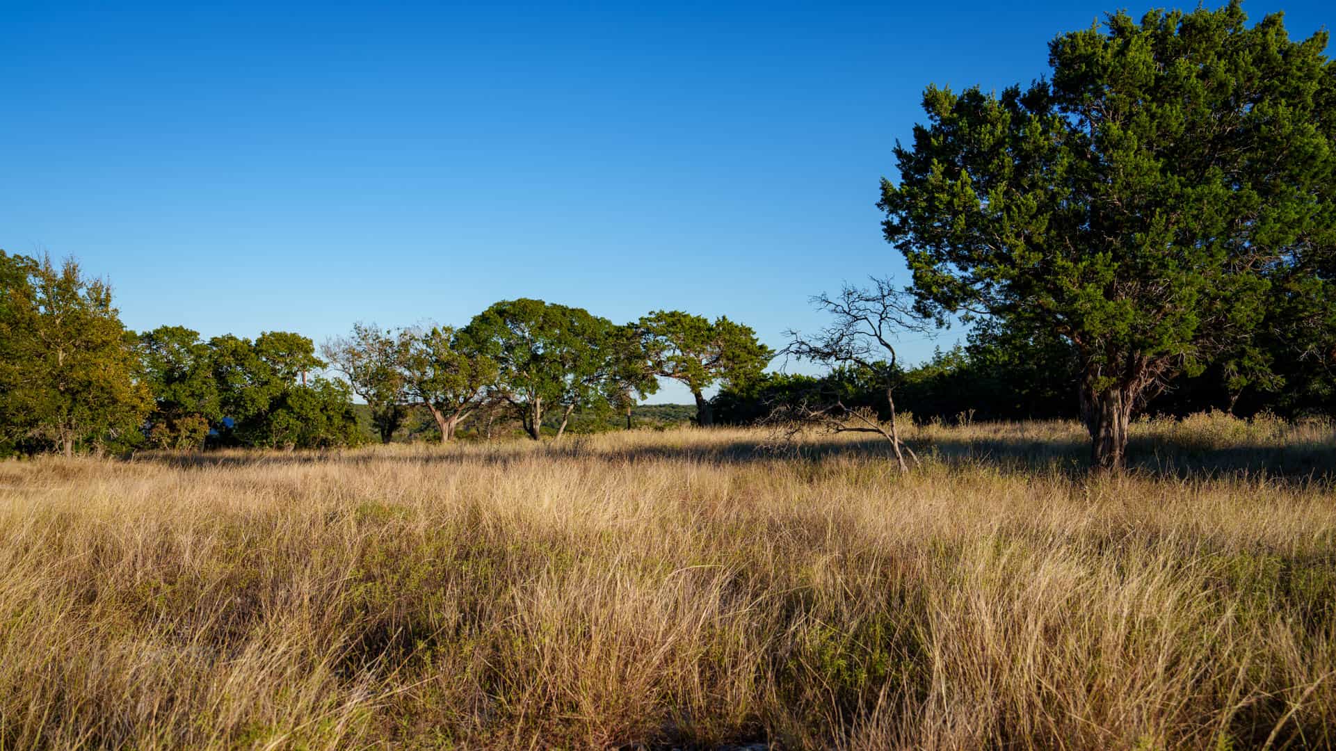 Luxury Hill Country Home with Acreage to Hunt