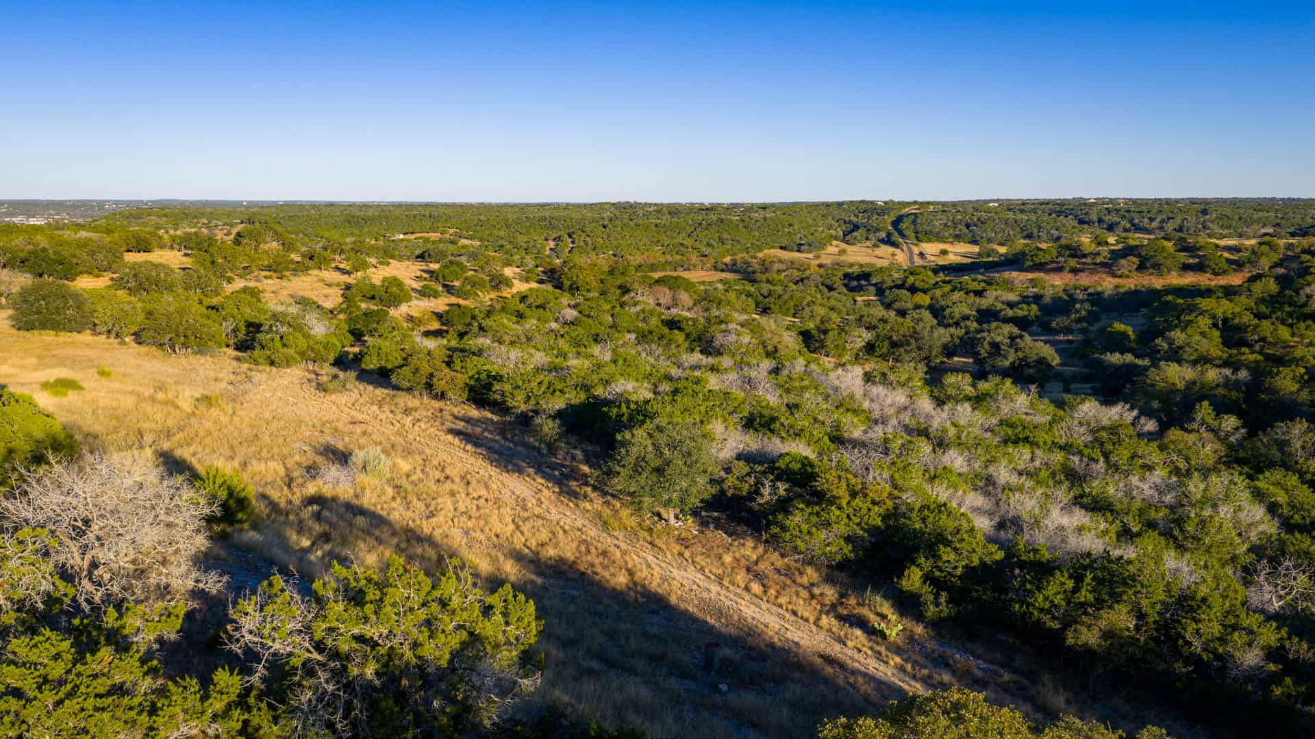 Luxury Hill Country Home with Acreage to Hunt