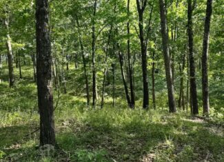 Hunting & Recreational Land For Sale Eldridge, Laclede County Mo.