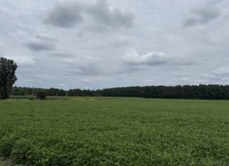 56 Acres Farmland & Timber with Hunting in NC