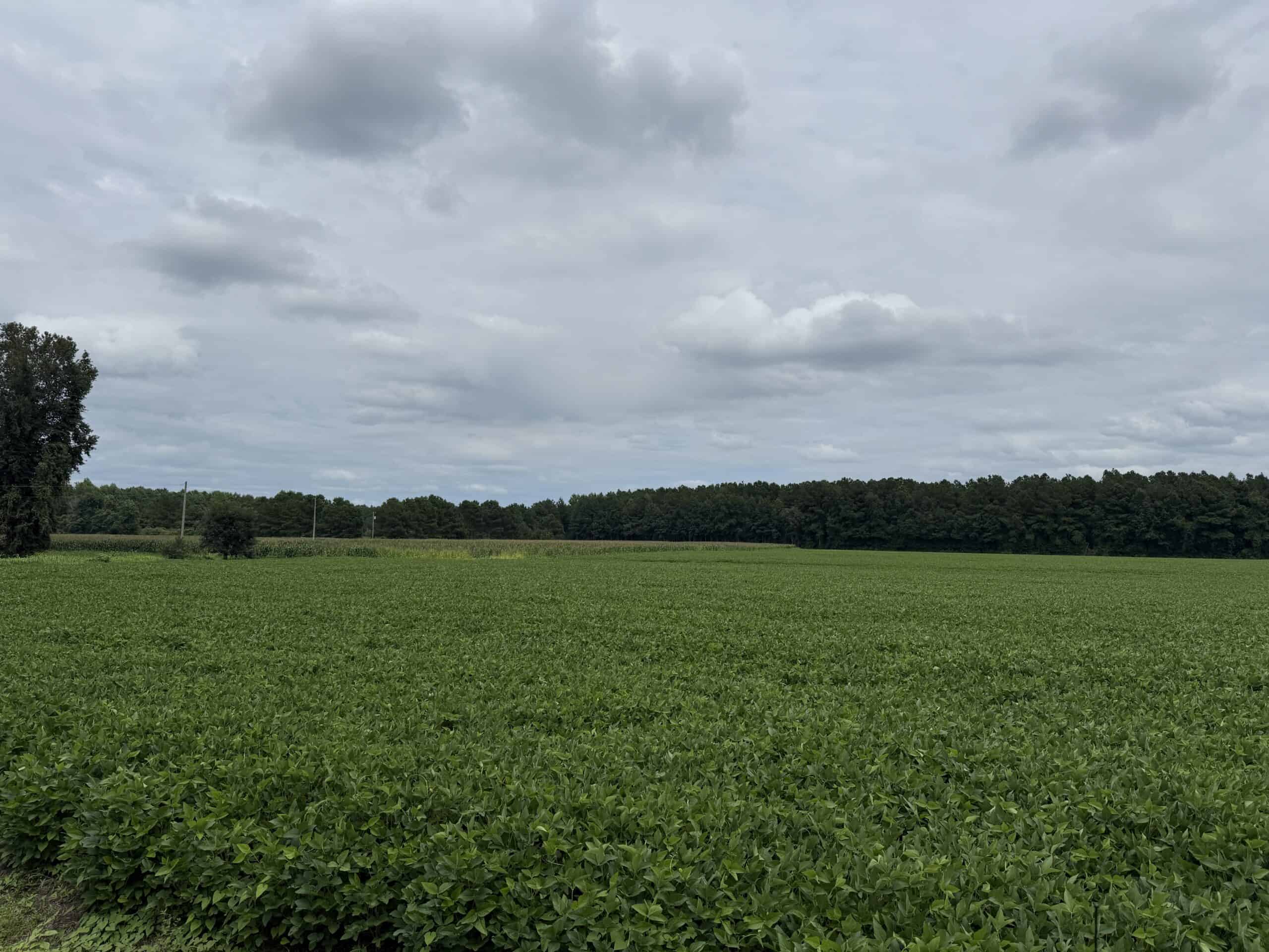 56 Acres Farmland & Timber with Hunting in NC