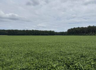 56 Acres Farmland & Timber with Hunting in NC
