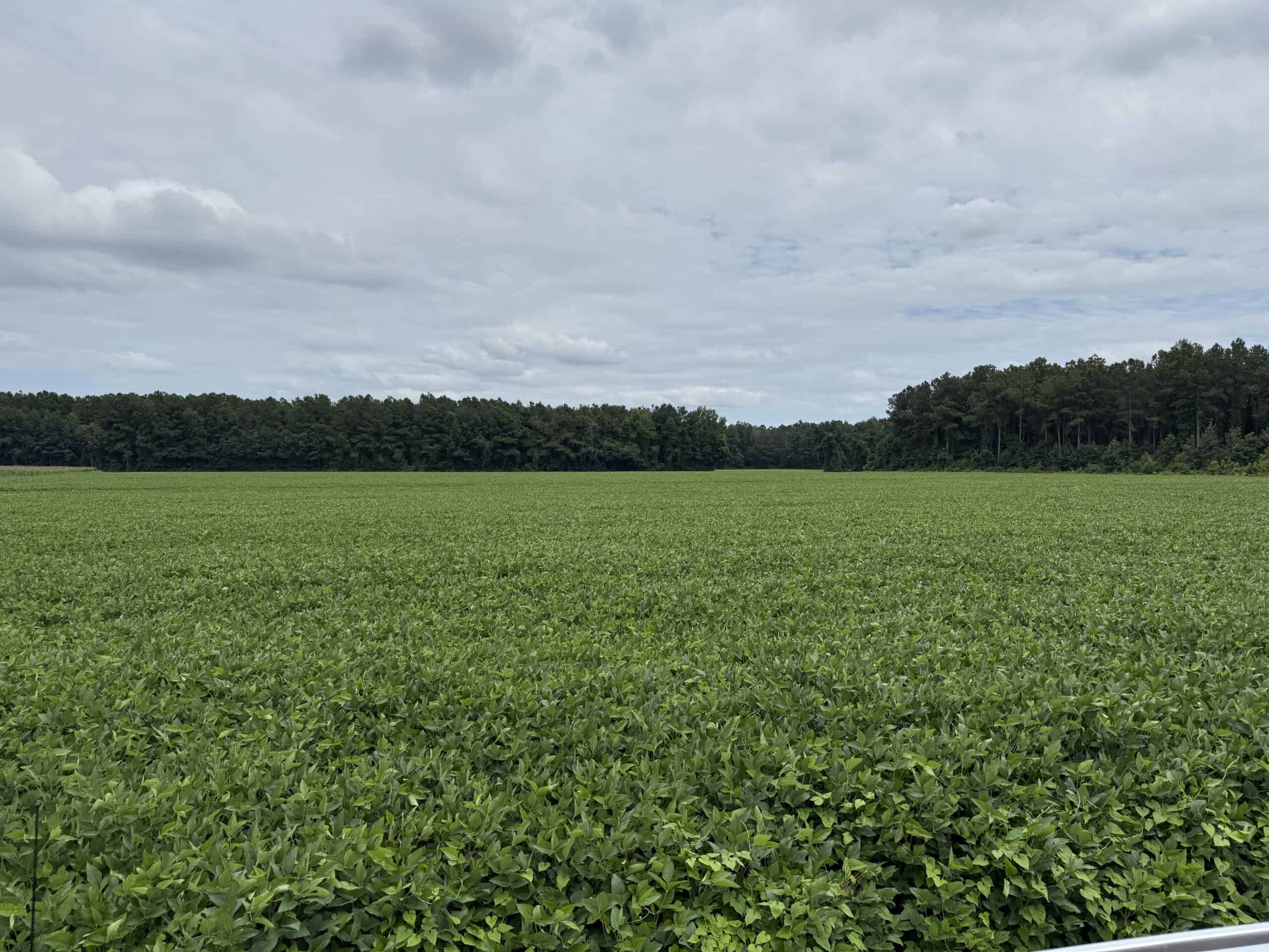 56 Acres Farmland & Timber with Hunting in NC