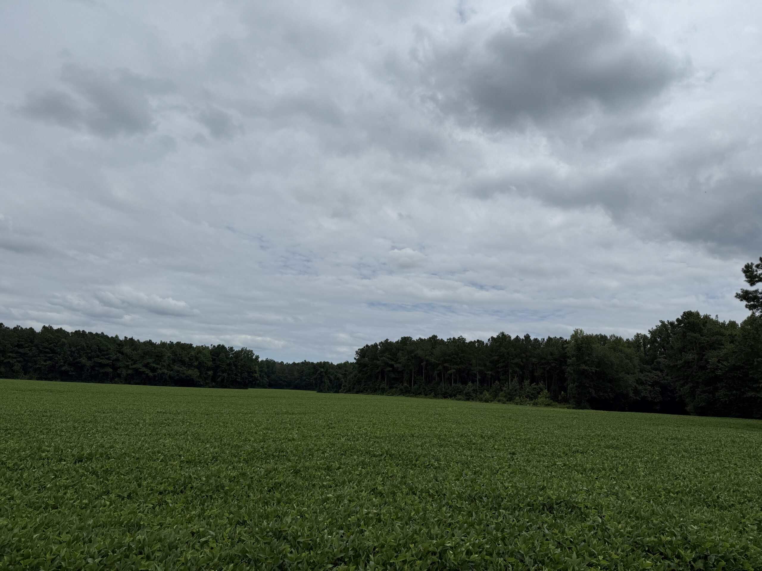56 Acres Farmland & Timber with Hunting in NC