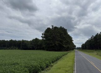 56 Acres Farmland & Timber with Hunting in NC