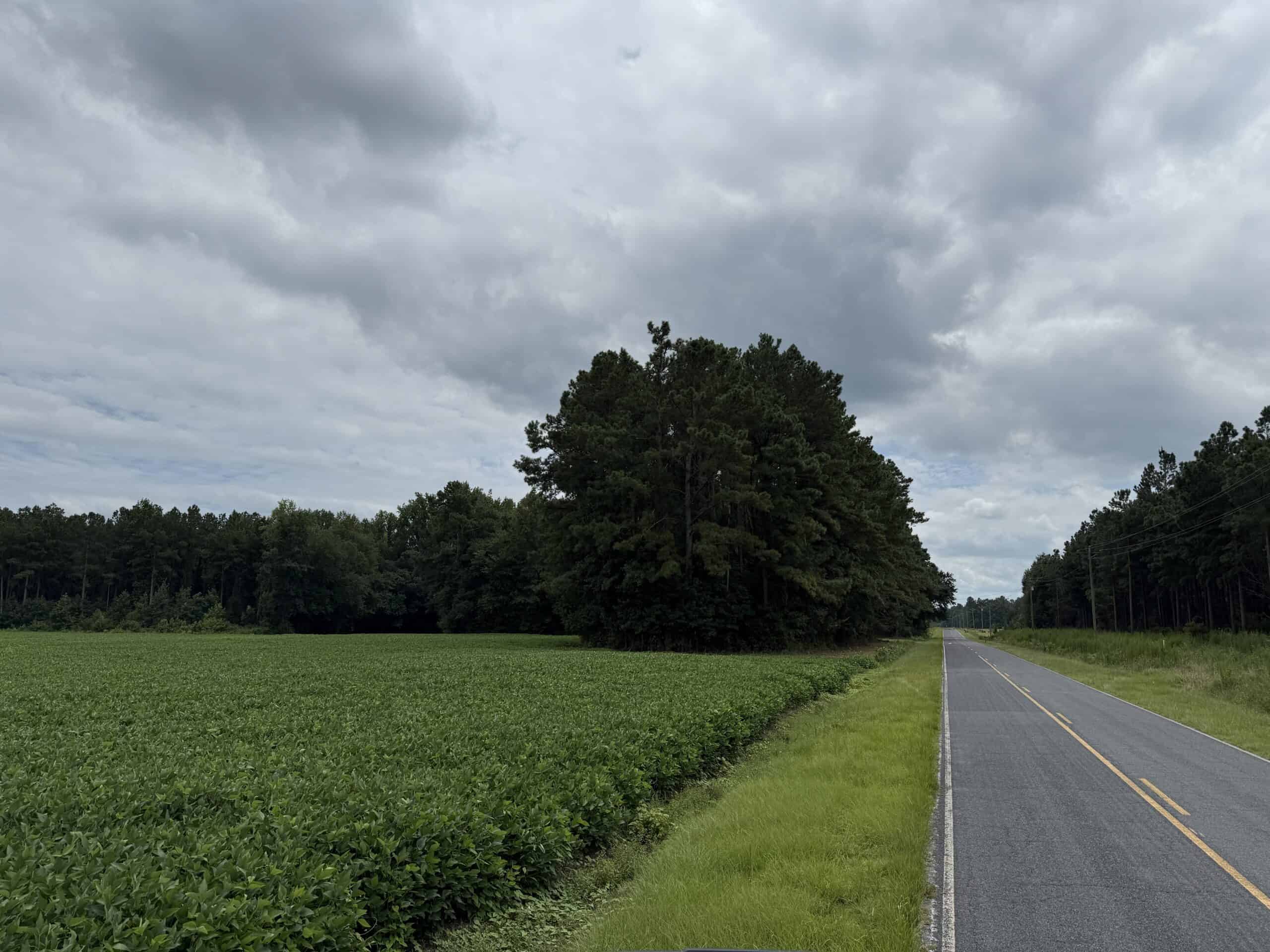 56 Acres Farmland & Timber with Hunting in NC