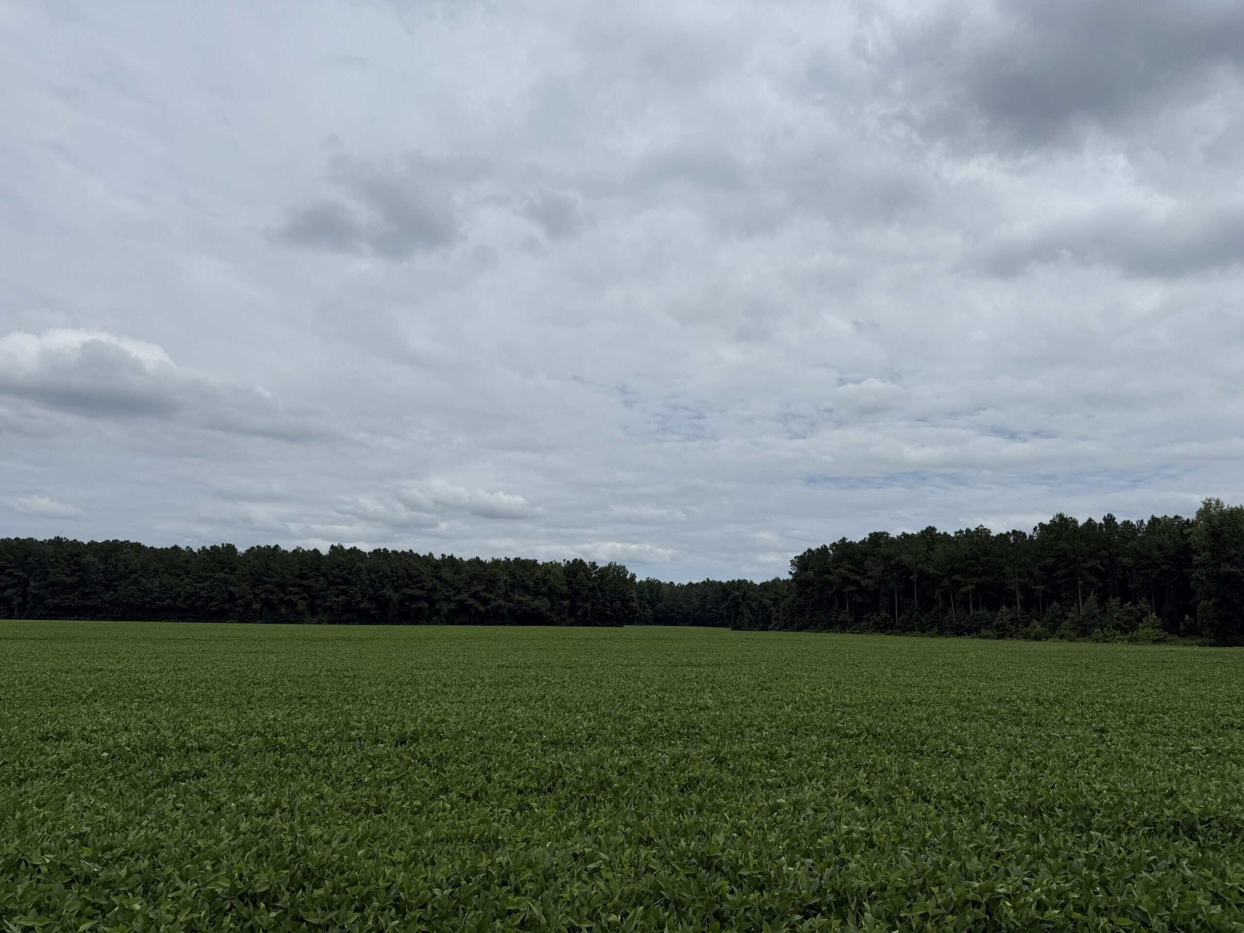 56 Acres Farmland & Timber with Hunting in NC