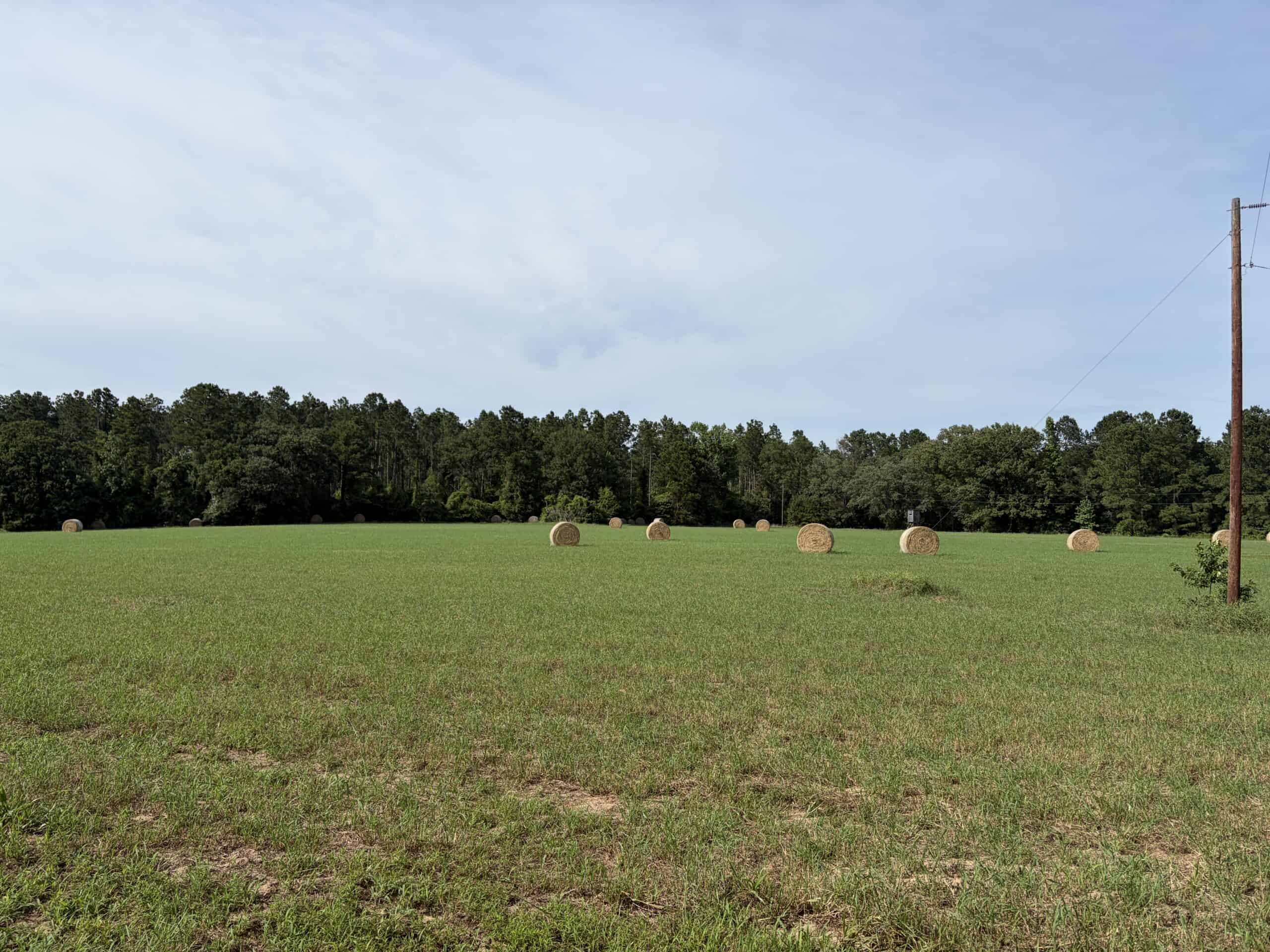 East Texas Land For Sale in McLeod, Texas