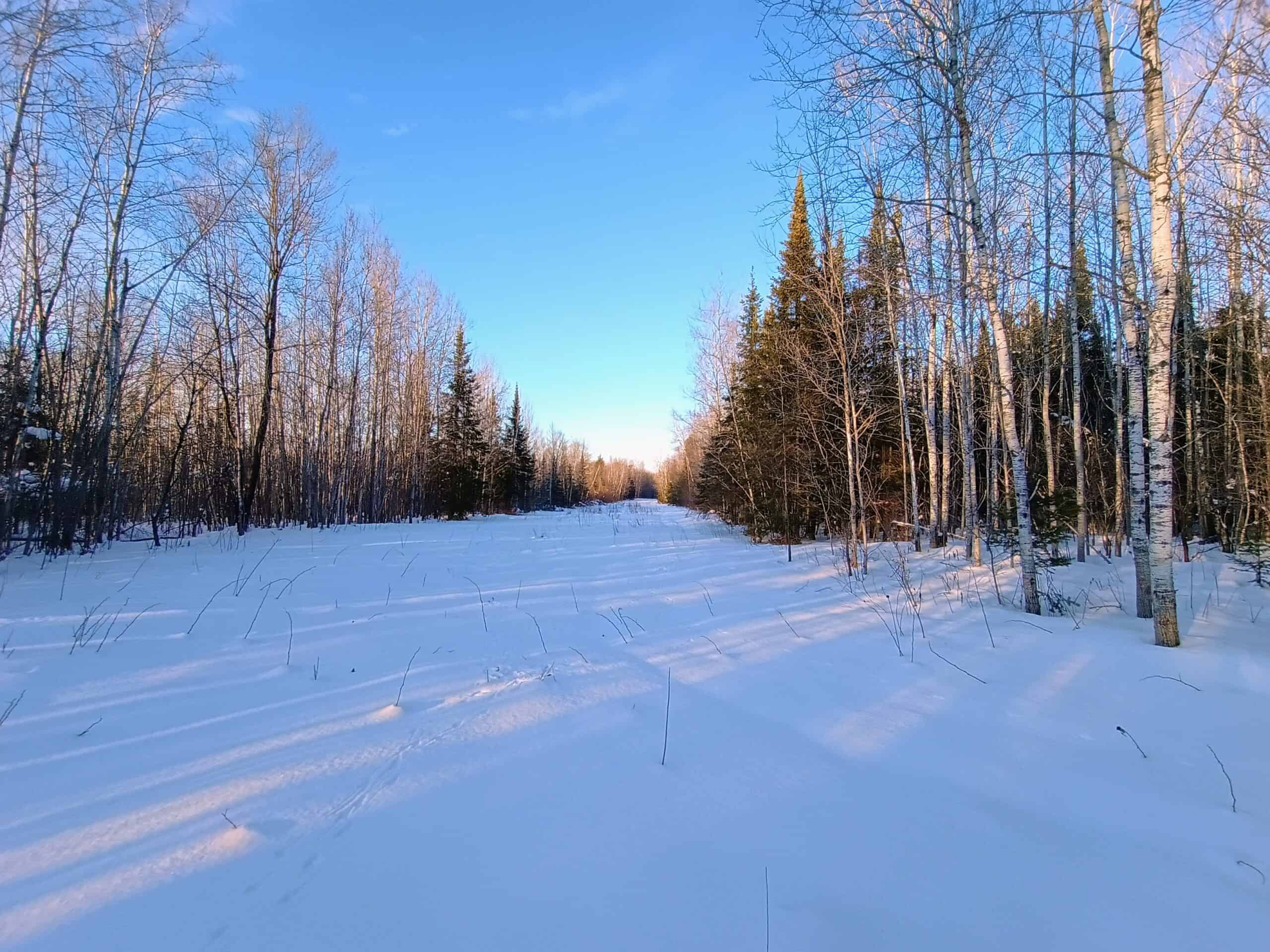 58 ± Acres Near Park Falls With Whitetail Hunting