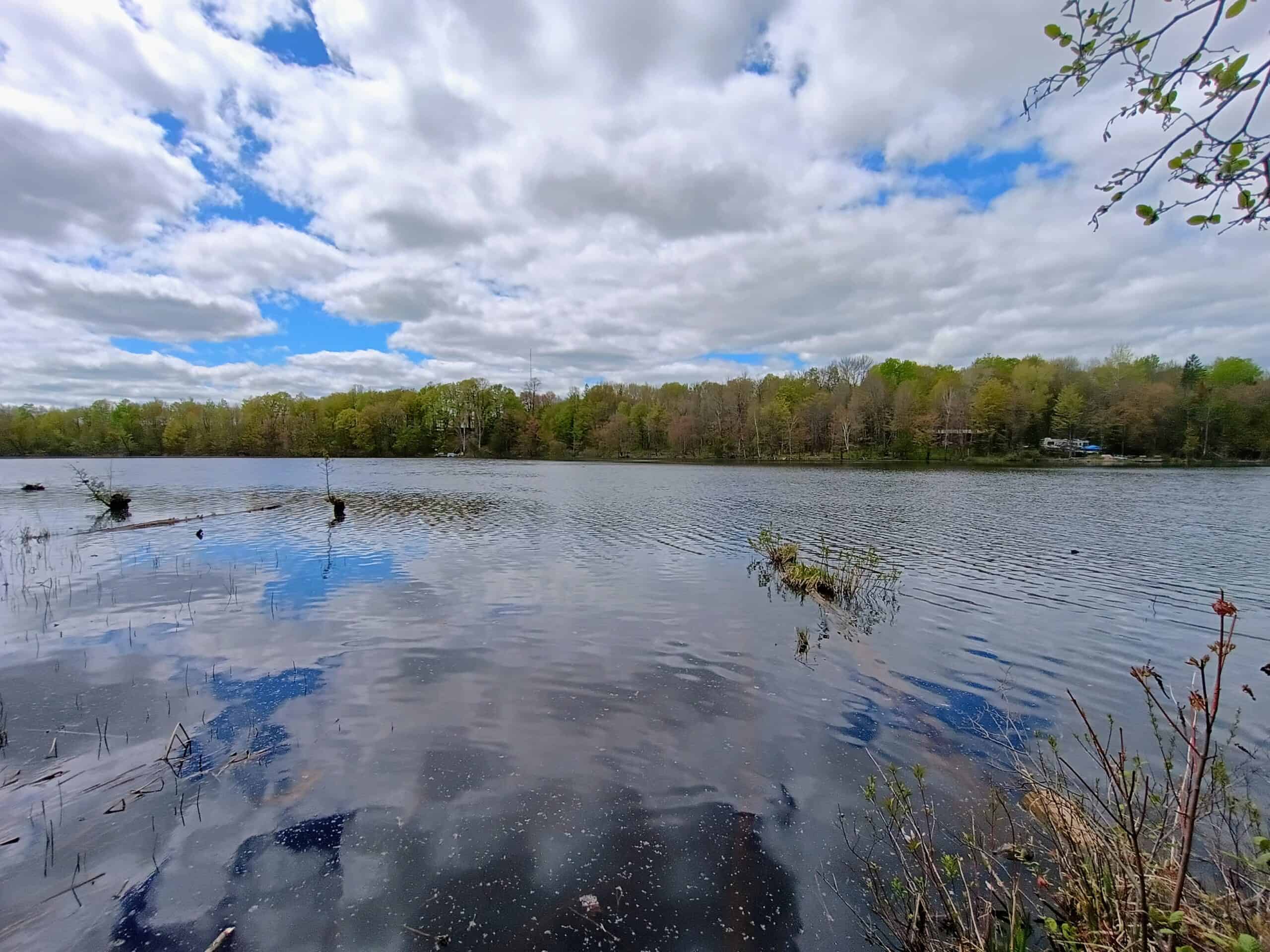 58 ± Acres Near Park Falls With Whitetail Hunting