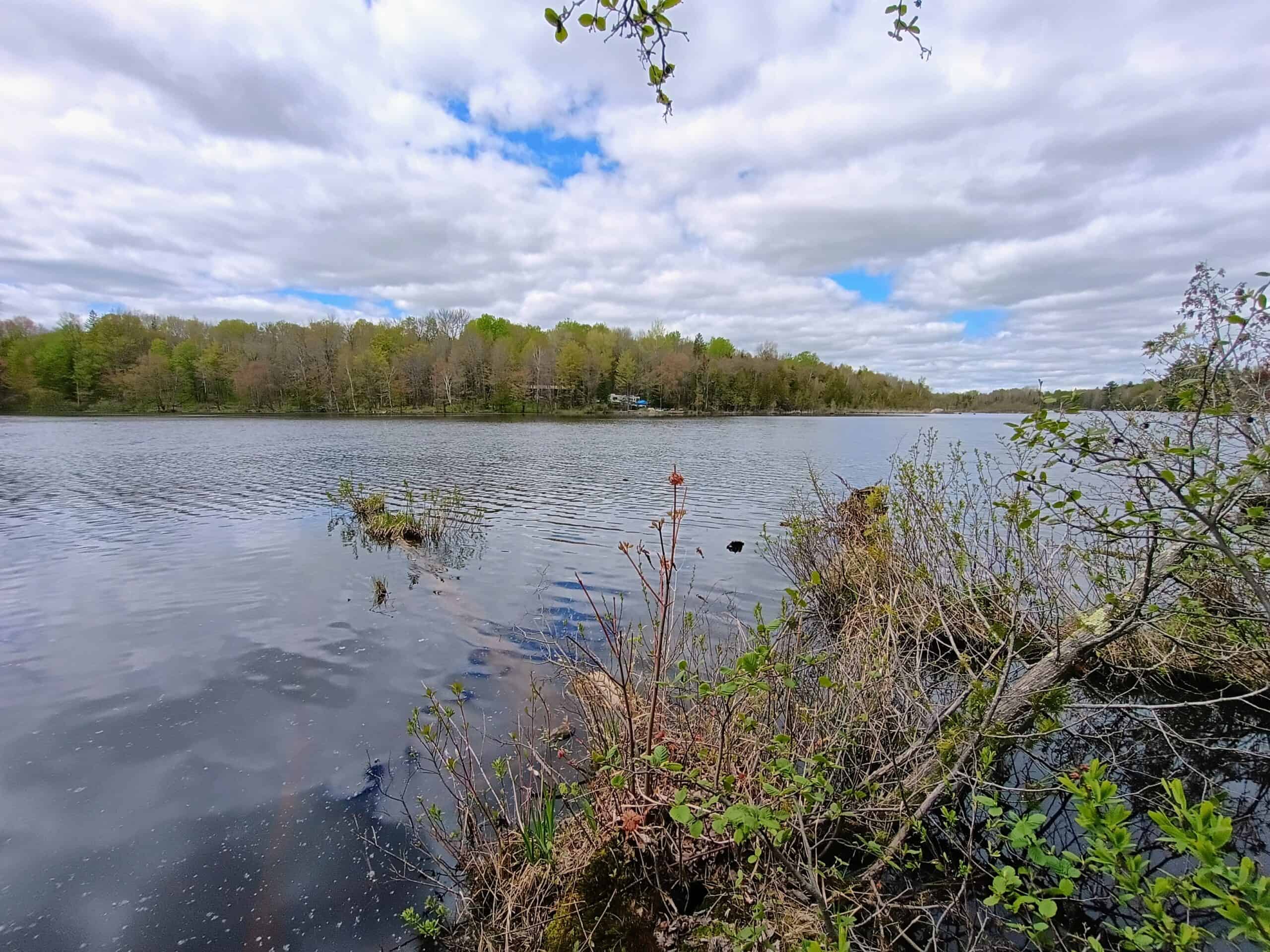 58 ± Acres Near Park Falls With Whitetail Hunting