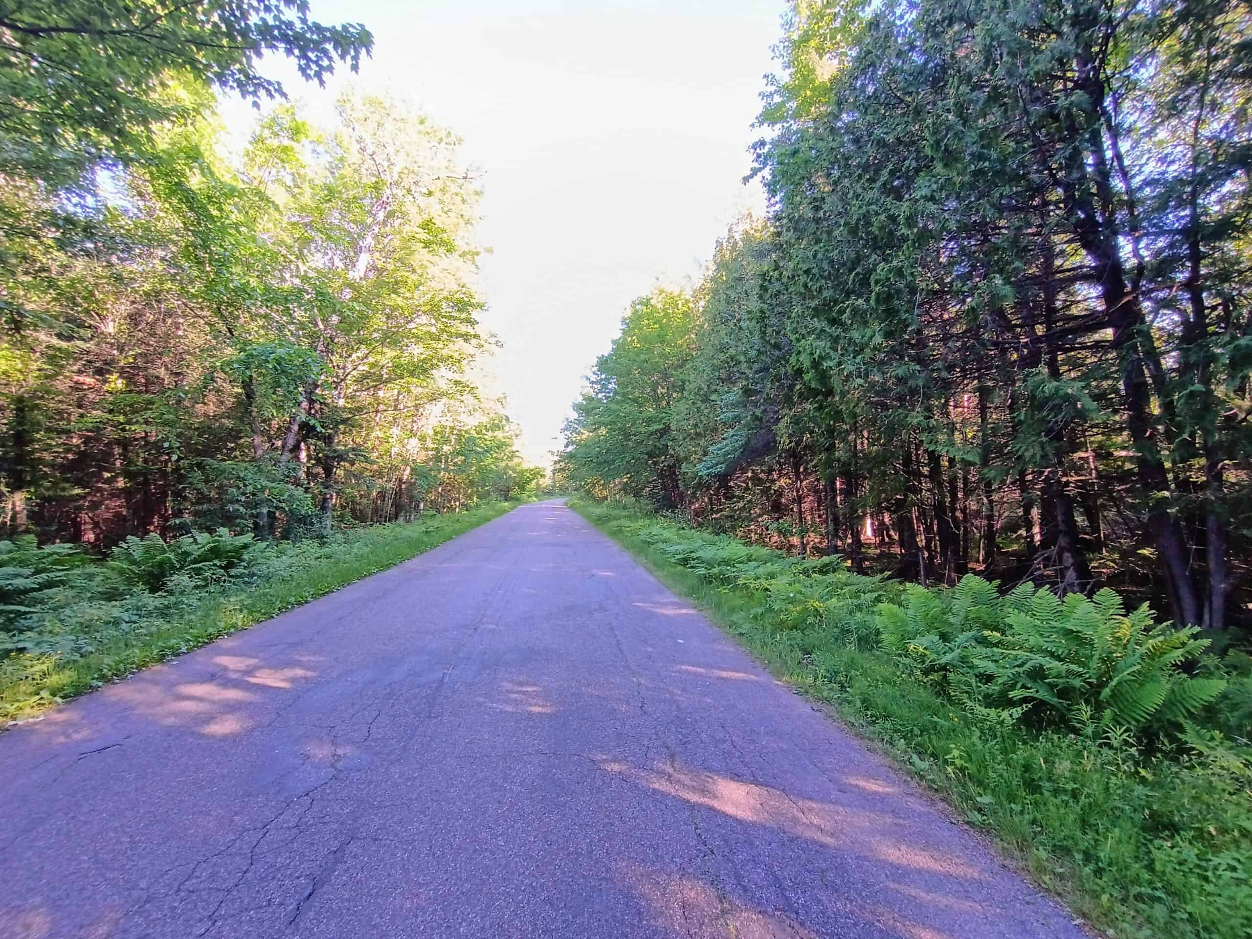 58 ± Acres Near Park Falls With Whitetail Hunting