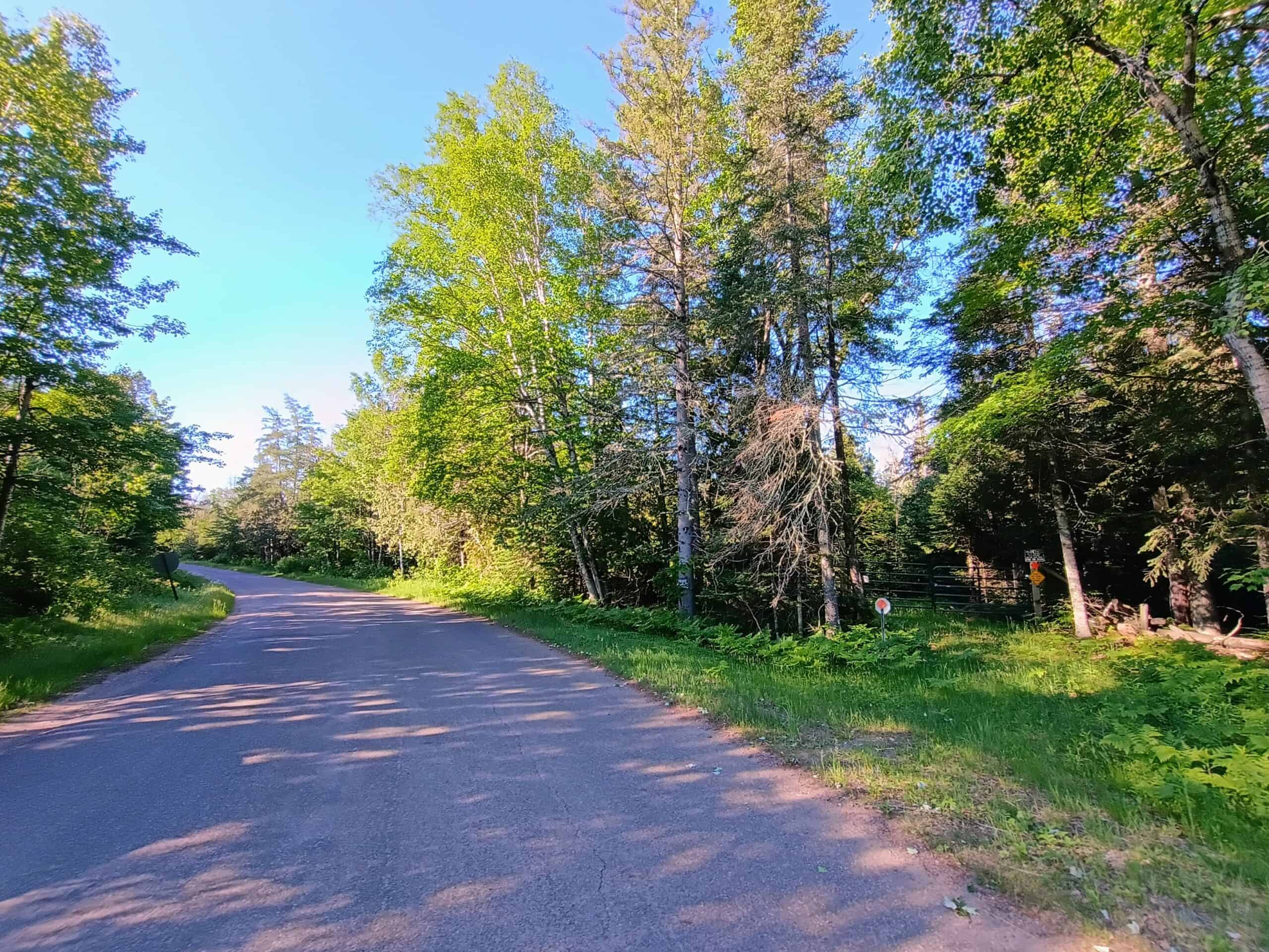 58 ± Acres Near Park Falls With Whitetail Hunting