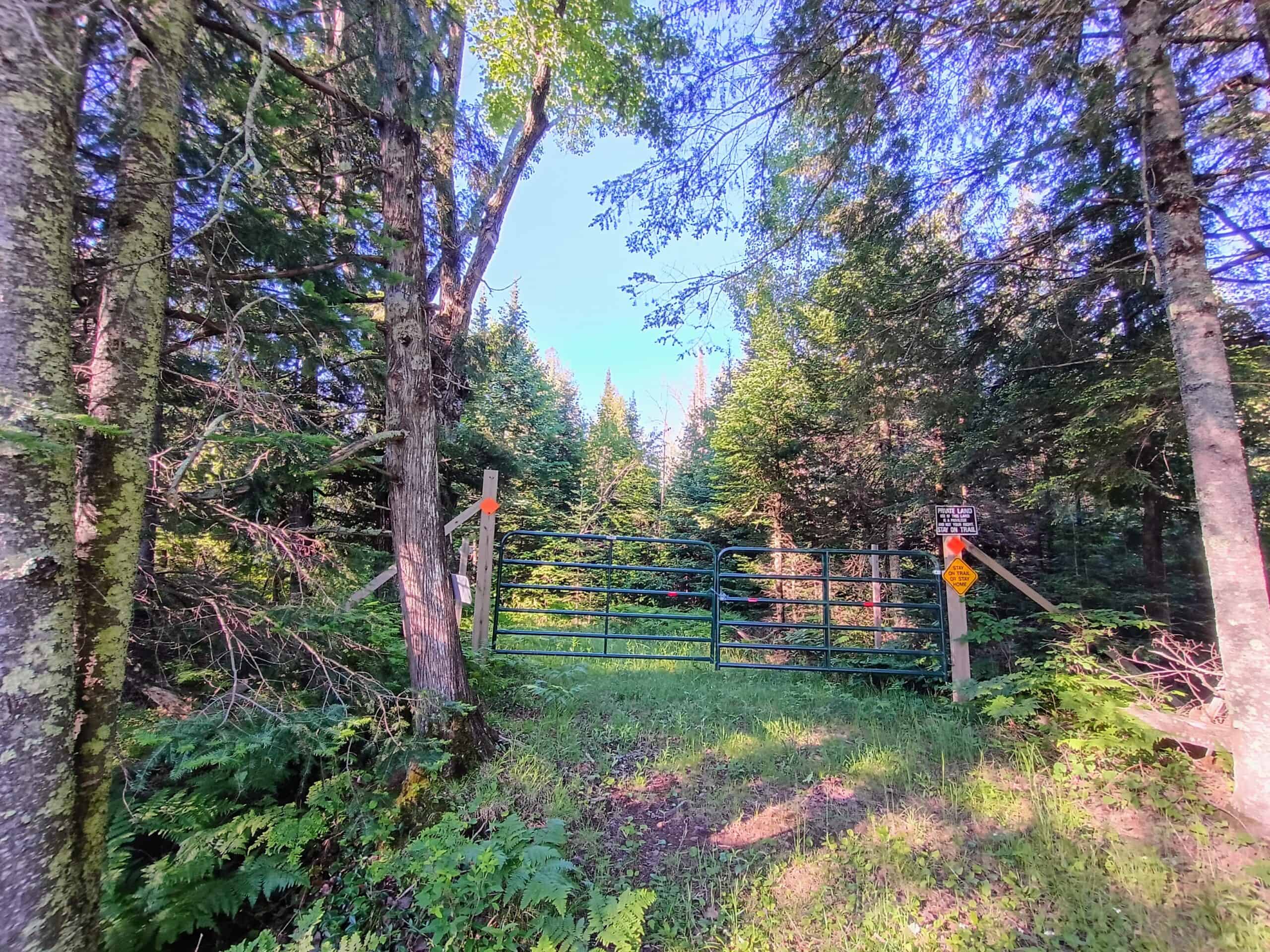 58 ± Acres Near Park Falls With Whitetail Hunting