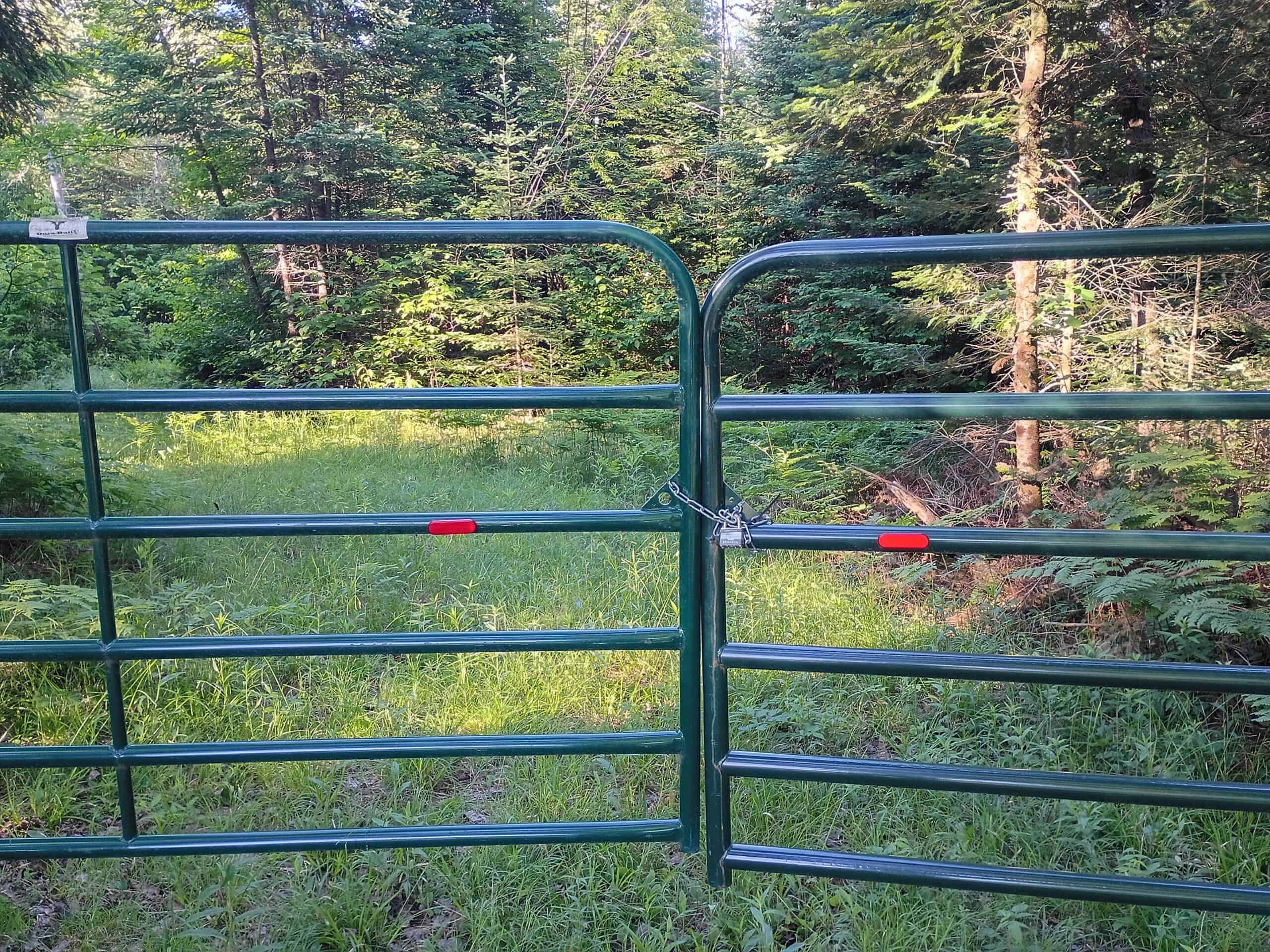 58 ± Acres Near Park Falls With Whitetail Hunting