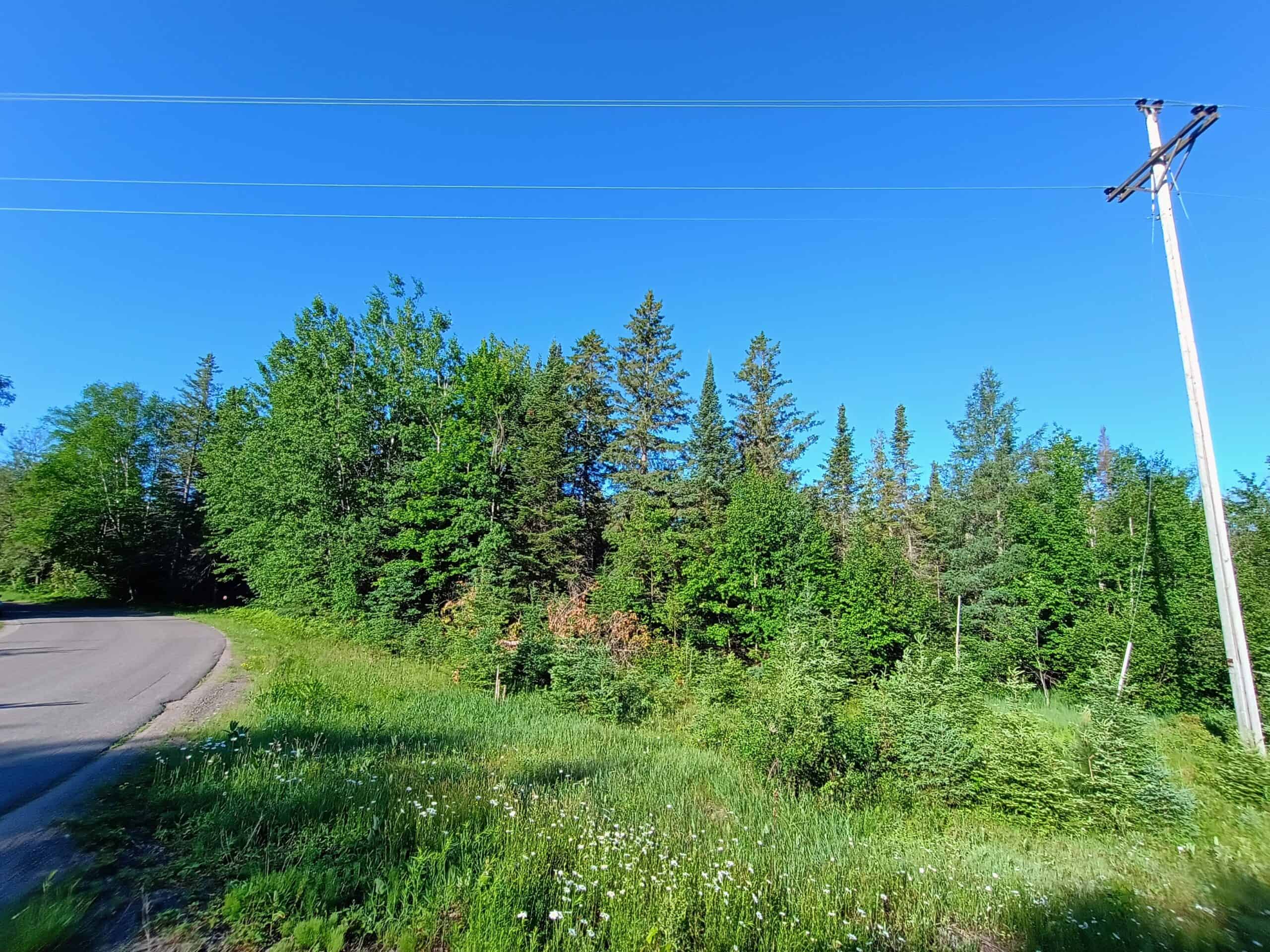 58 ± Acres Near Park Falls With Whitetail Hunting