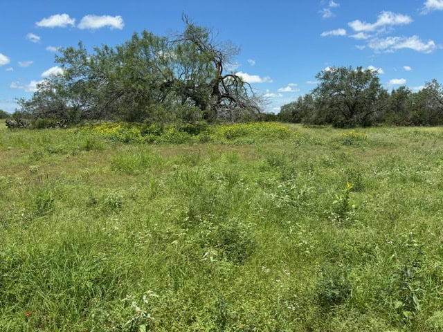 South Texas Dove Hunting Retreat