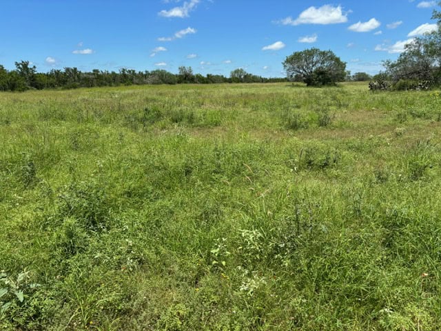 South Texas Dove Hunting Retreat