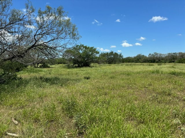 South Texas Dove Hunting Retreat