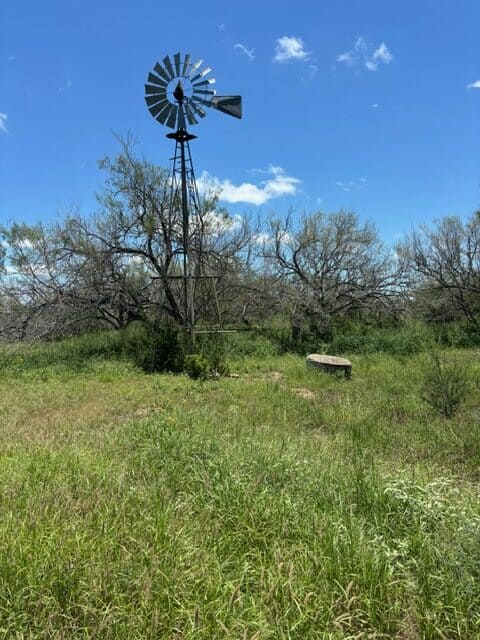 South Texas Dove Hunting Retreat