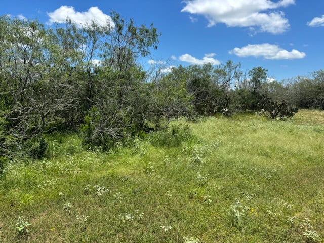 South Texas Dove Hunting Retreat