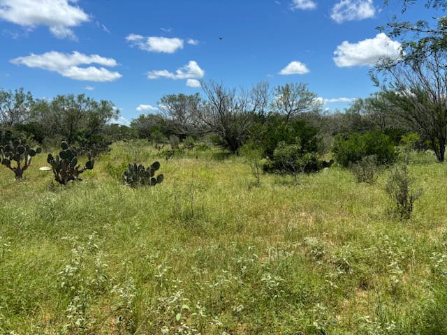 South Texas Dove Hunting Retreat
