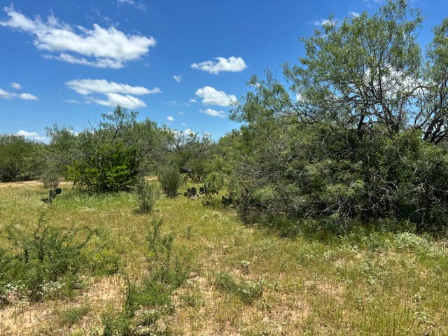 South Texas Dove Hunting Retreat
