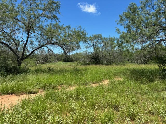 South Texas Dove Hunting Retreat