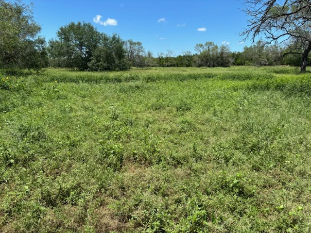 South Texas Dove Hunting Retreat