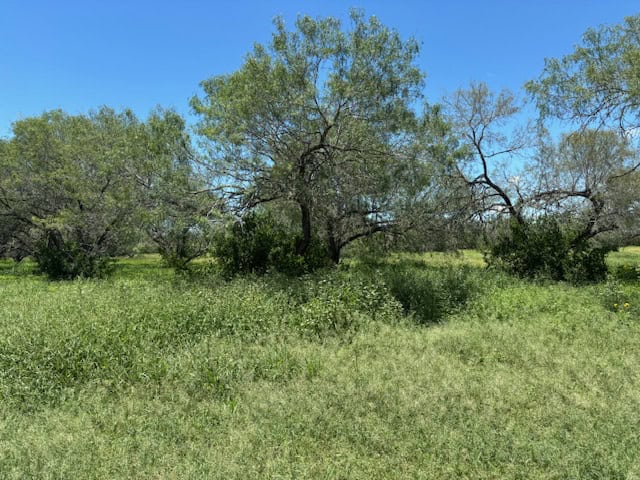 South Texas Dove Hunting Retreat