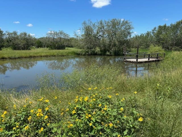 South Texas Dove Hunting Retreat