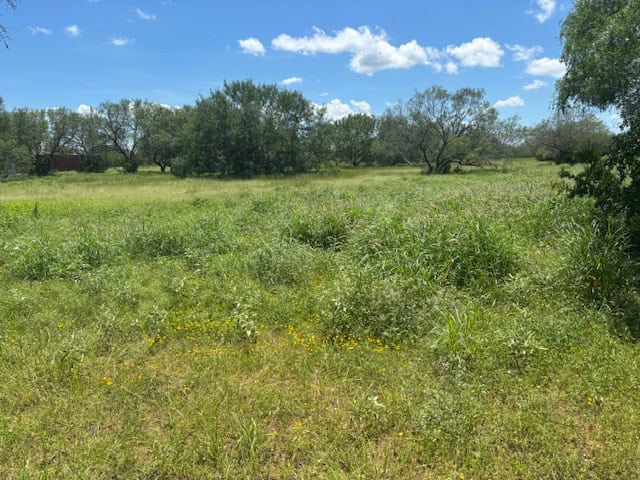 South Texas Dove Hunting Retreat