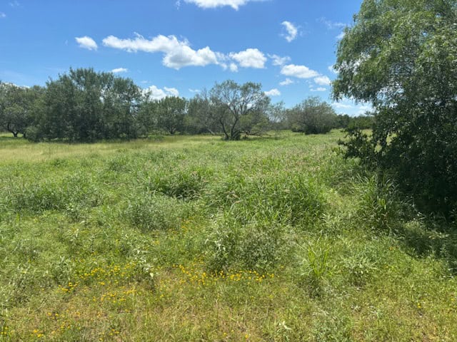 South Texas Dove Hunting Retreat