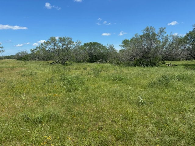 South Texas Dove Hunting Retreat