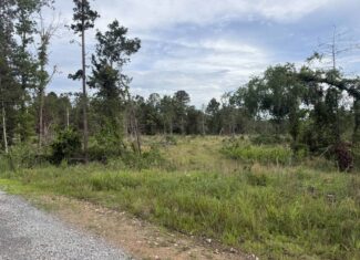 UNRESTRICTED LAND FOR SALE IN NORTH CENTRAL ARKANSAS