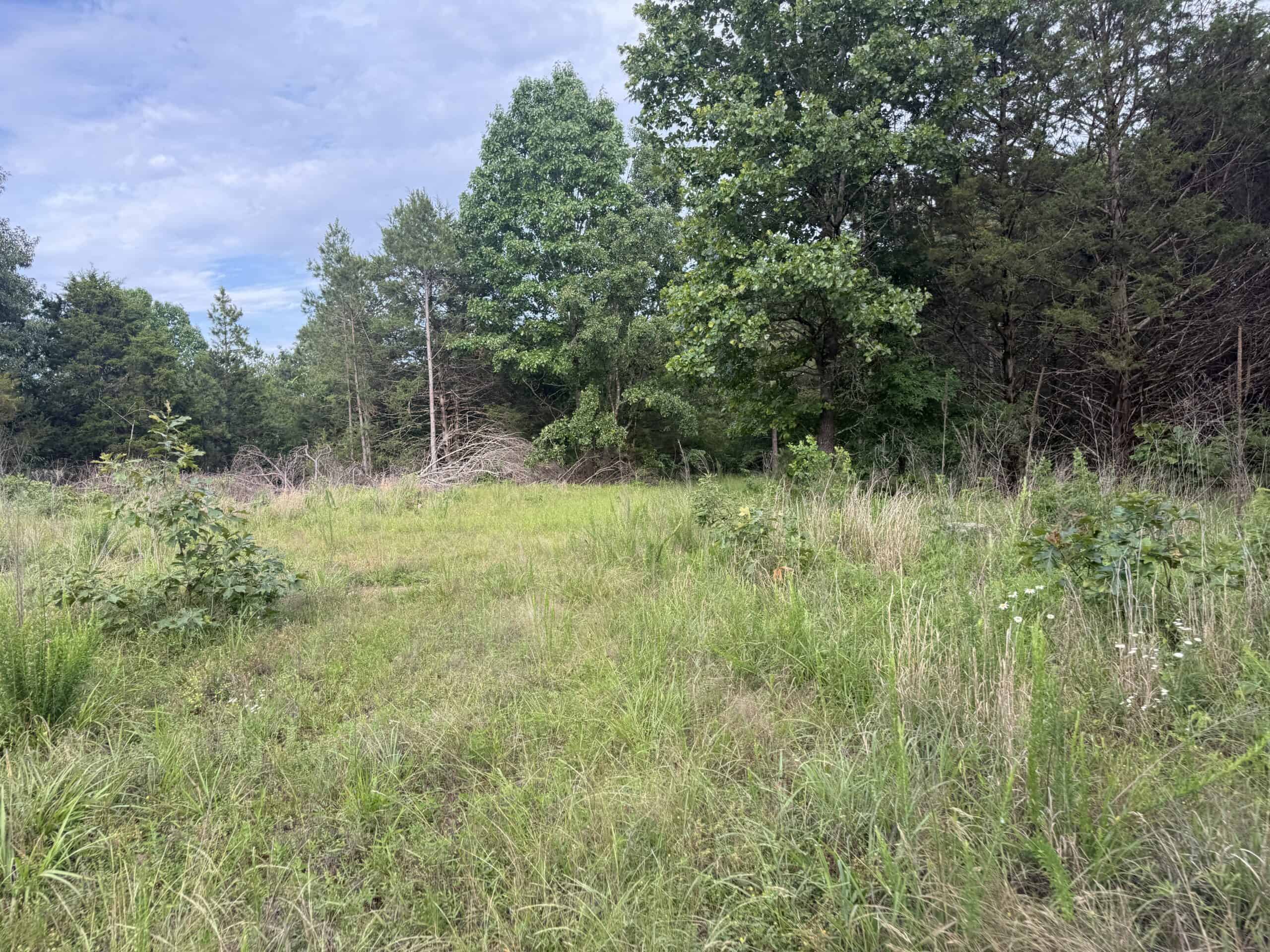 BUILDING AND HUNTING FOR SALE IN NORTH CENTRAL ARKANSAS