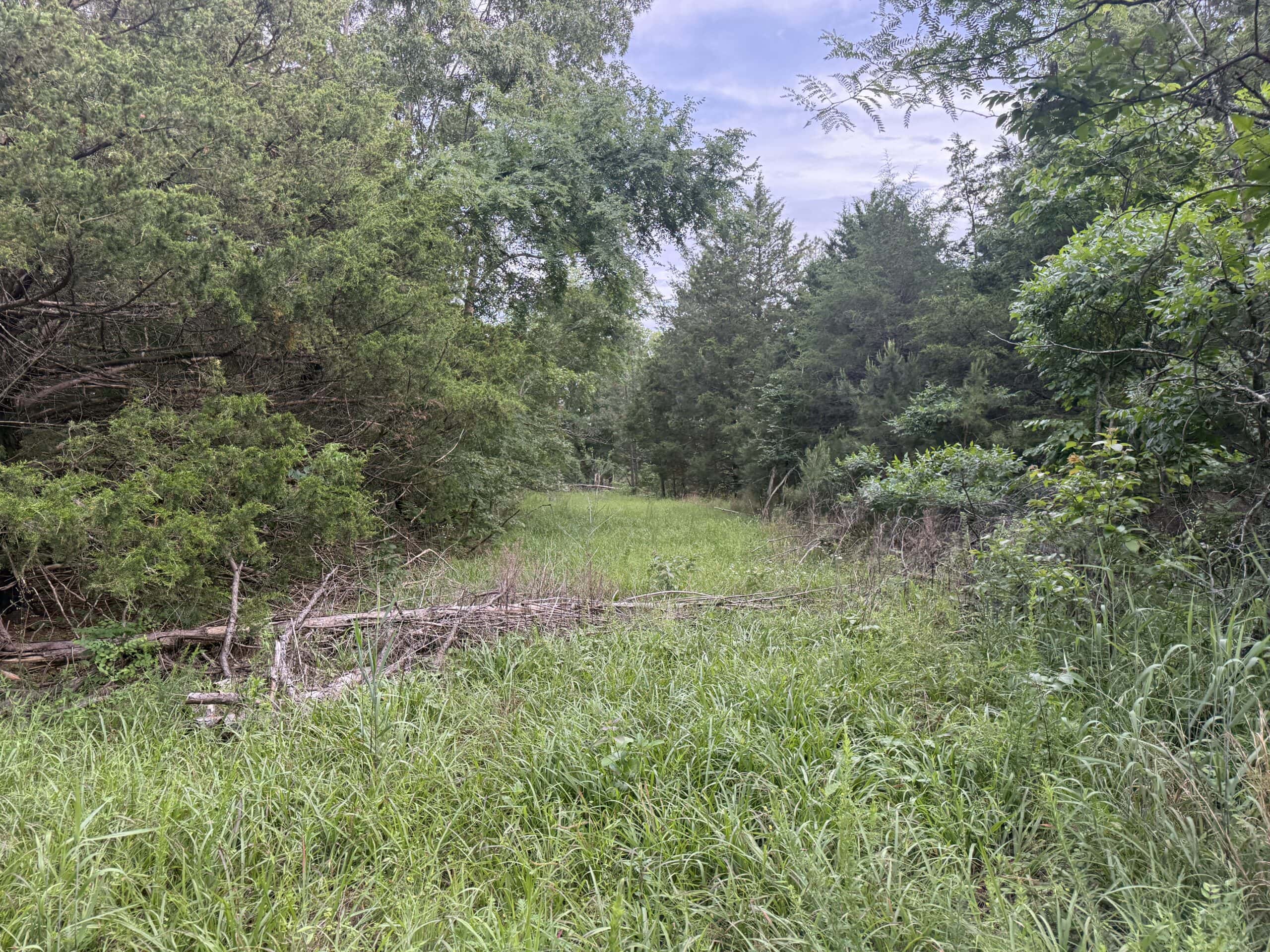 HUNTING AND BUILDING LAND FOR SALE IN NORTH CENTRAL ARKANSAS