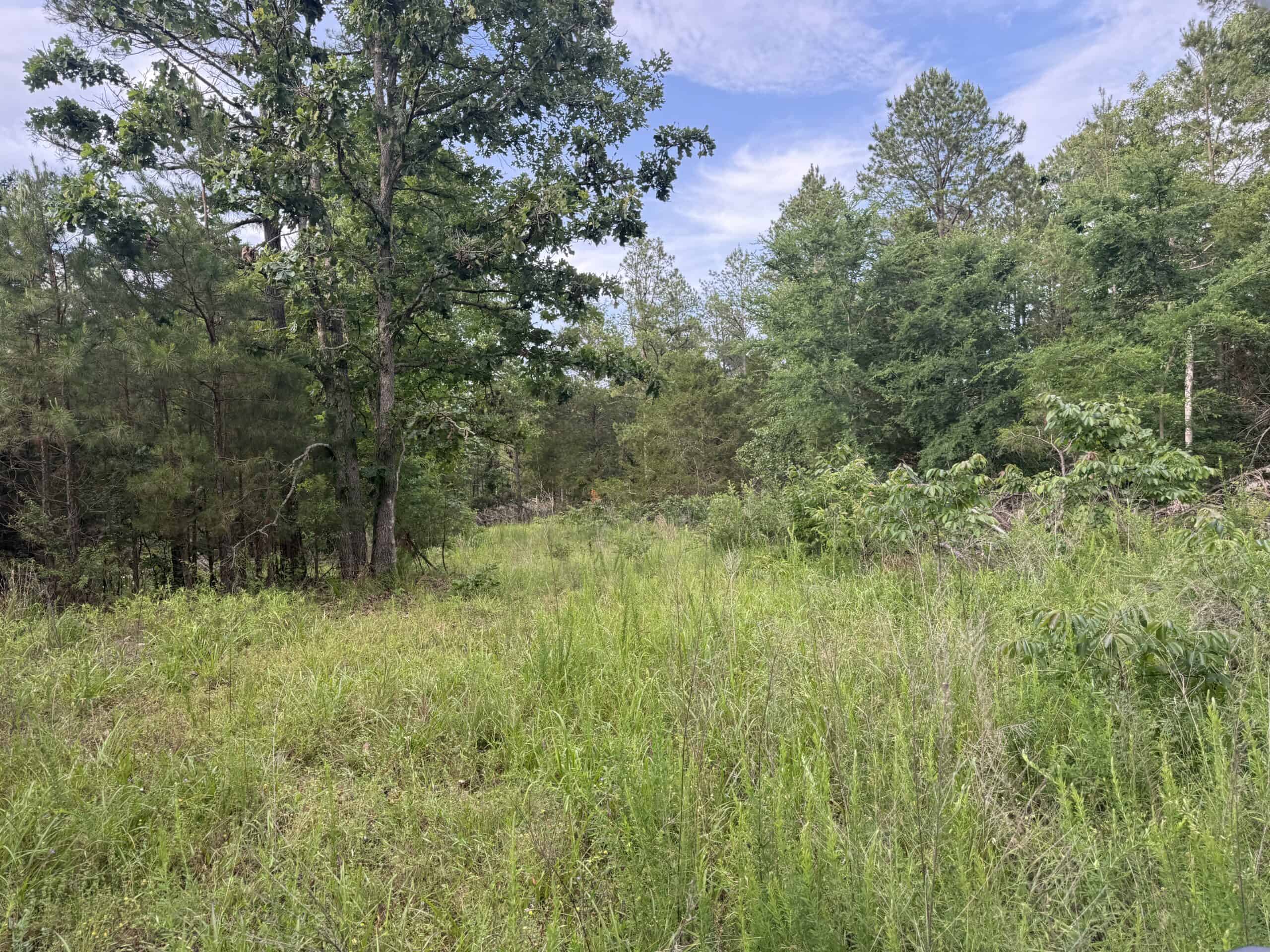 BUILDING AND HUNTING FOR SALE IN NORTH CENTRAL ARKANSAS