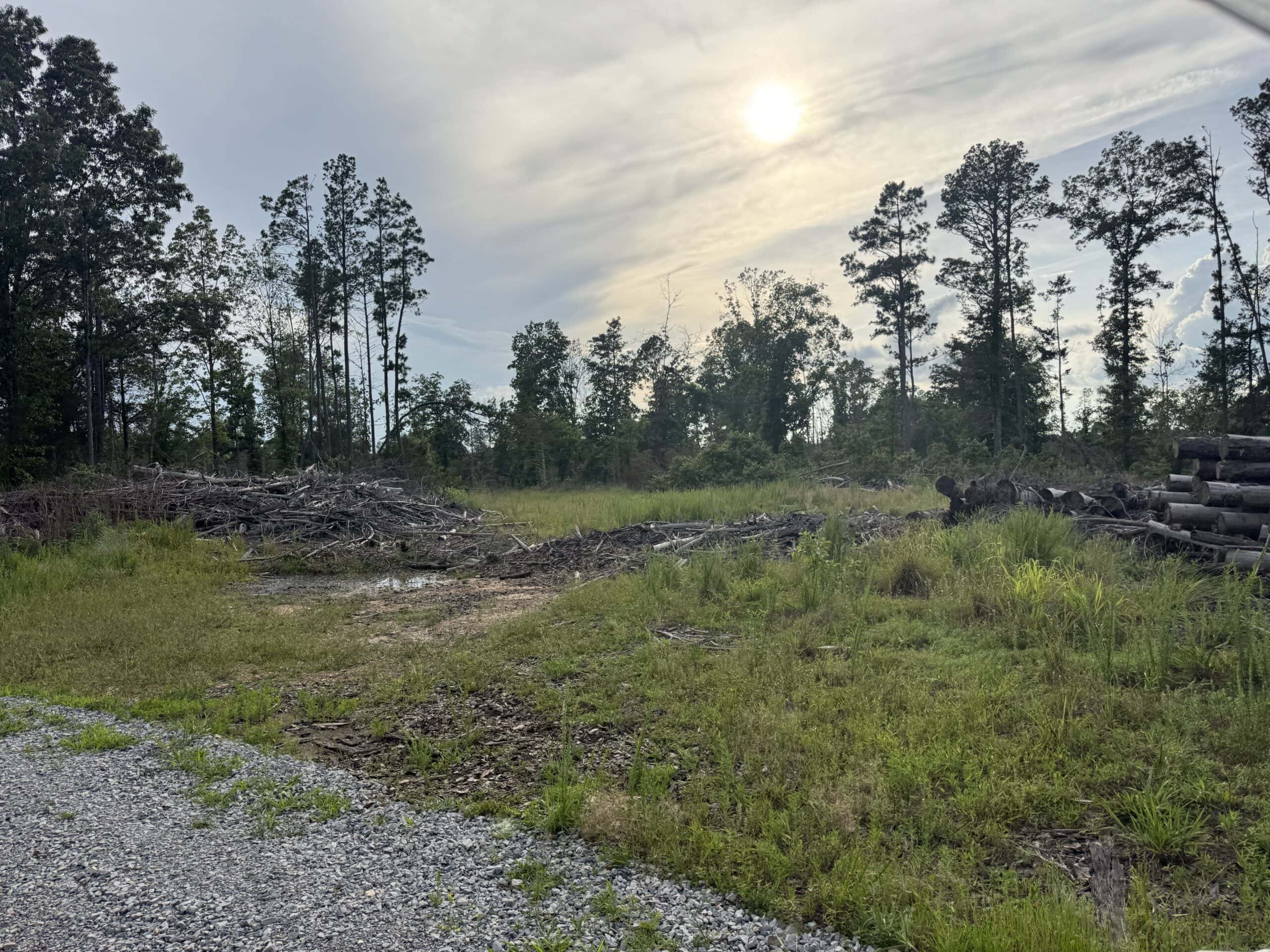 HUNTING AND BUILDING LAND FOR SALE IN NORTH CENTRAL ARKANSAS