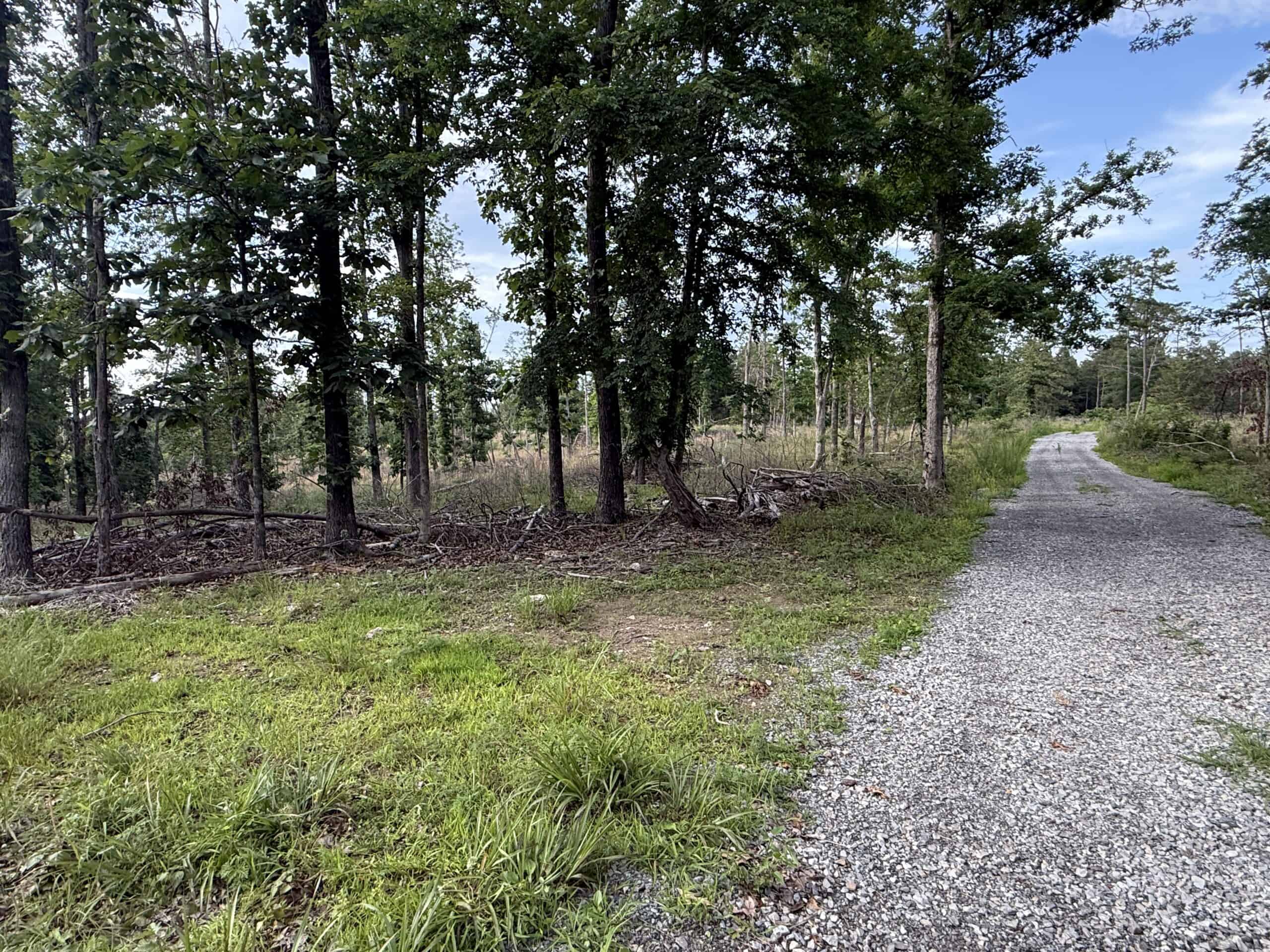 HUNTING AND BUILDING LAND FOR SALE IN NORTH CENTRAL ARKANSAS