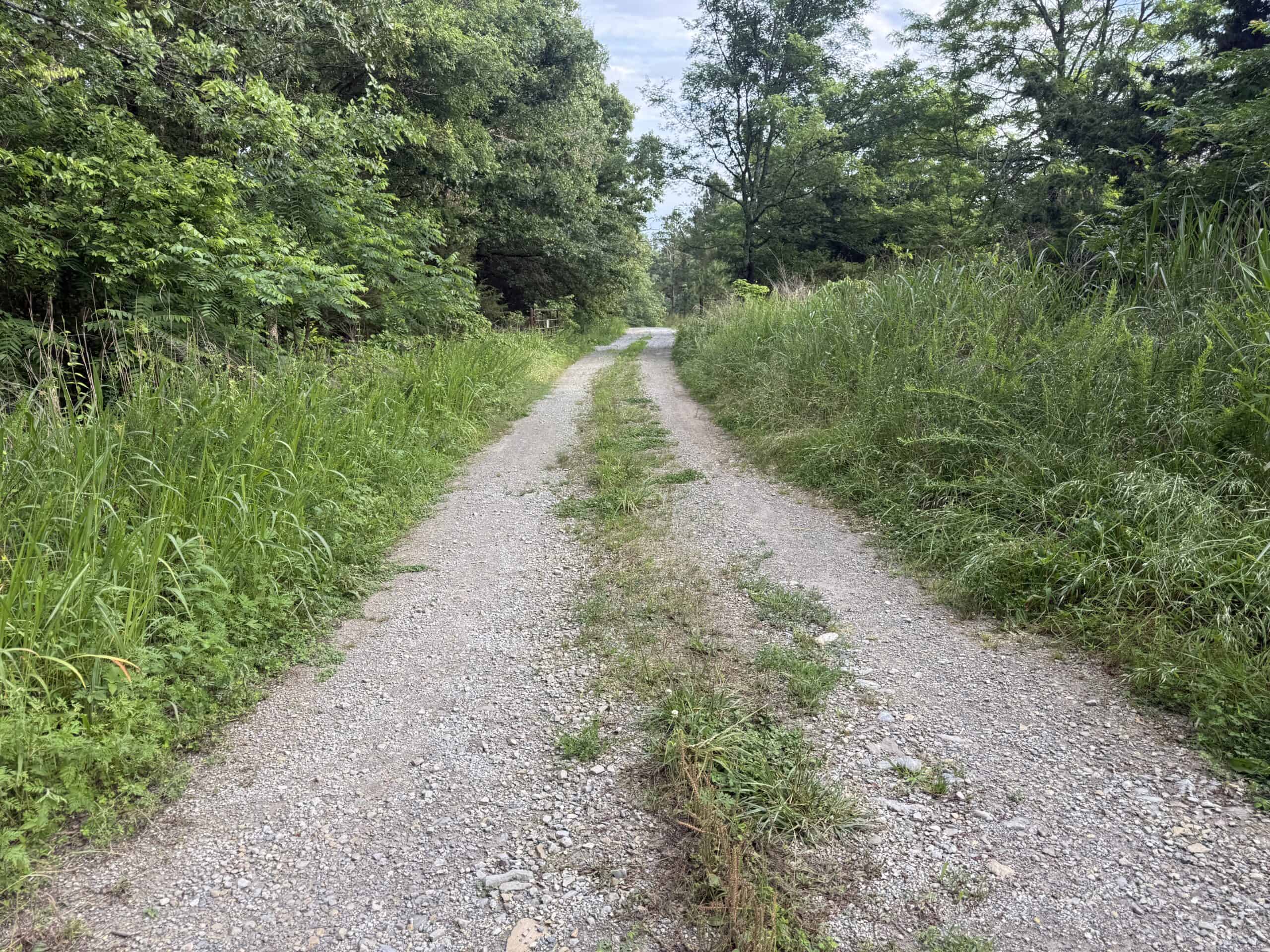 HUNTING AND BUILDING LAND FOR SALE IN NORTH CENTRAL ARKANSAS