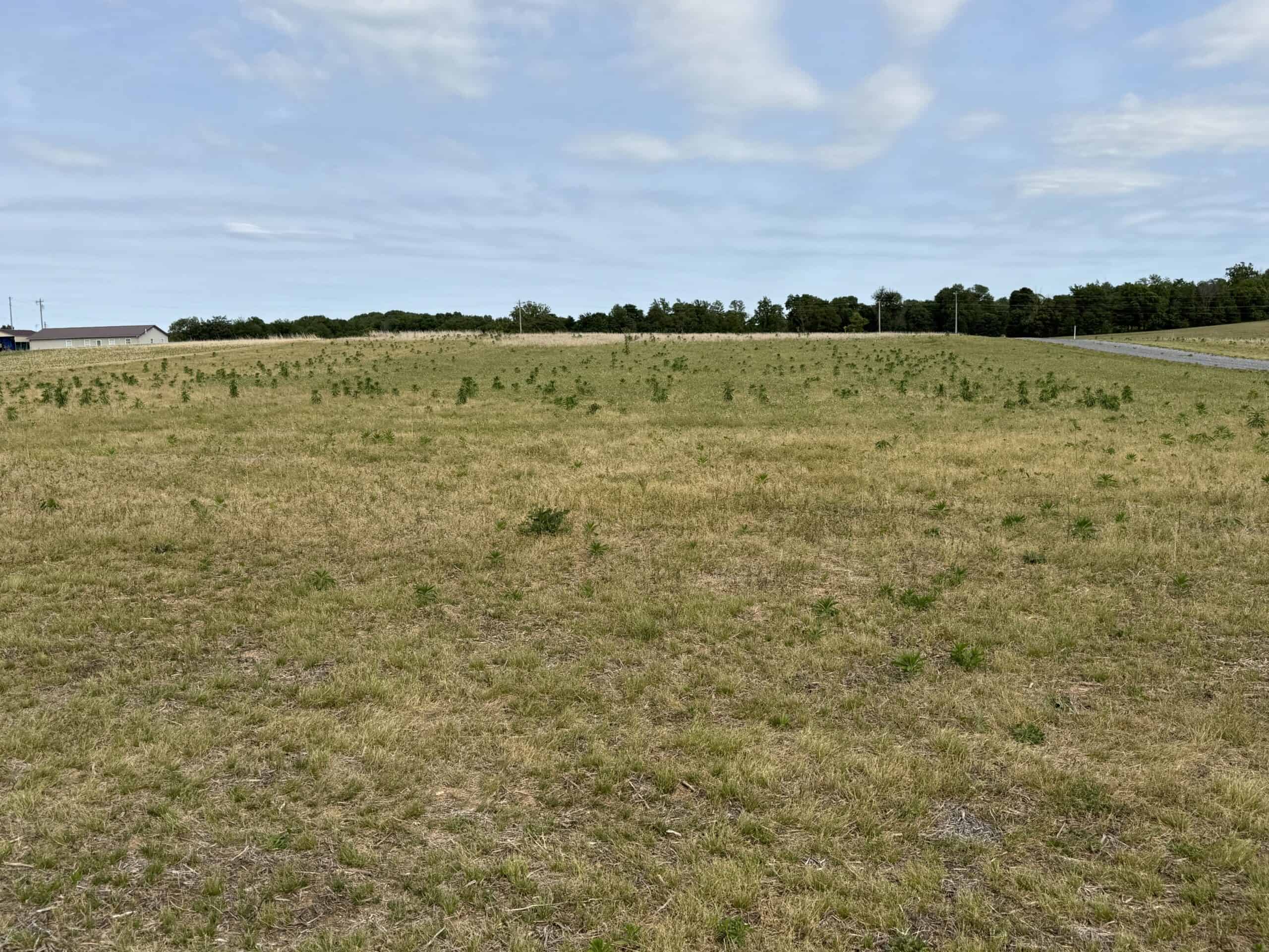 Barndomimium, RV Hook-Up & 11 Acres adjacent to Green River Lake Campbellsville, KY 42718
