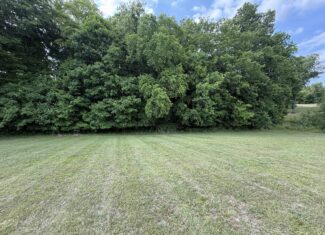 Barndomimium, RV Hook-Up & 11 Acres adjacent to Green River Lake Campbellsville, KY 42718