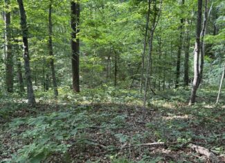 Barndomimium, RV Hook-Up & 11 Acres adjacent to Green River Lake Campbellsville, KY 42718