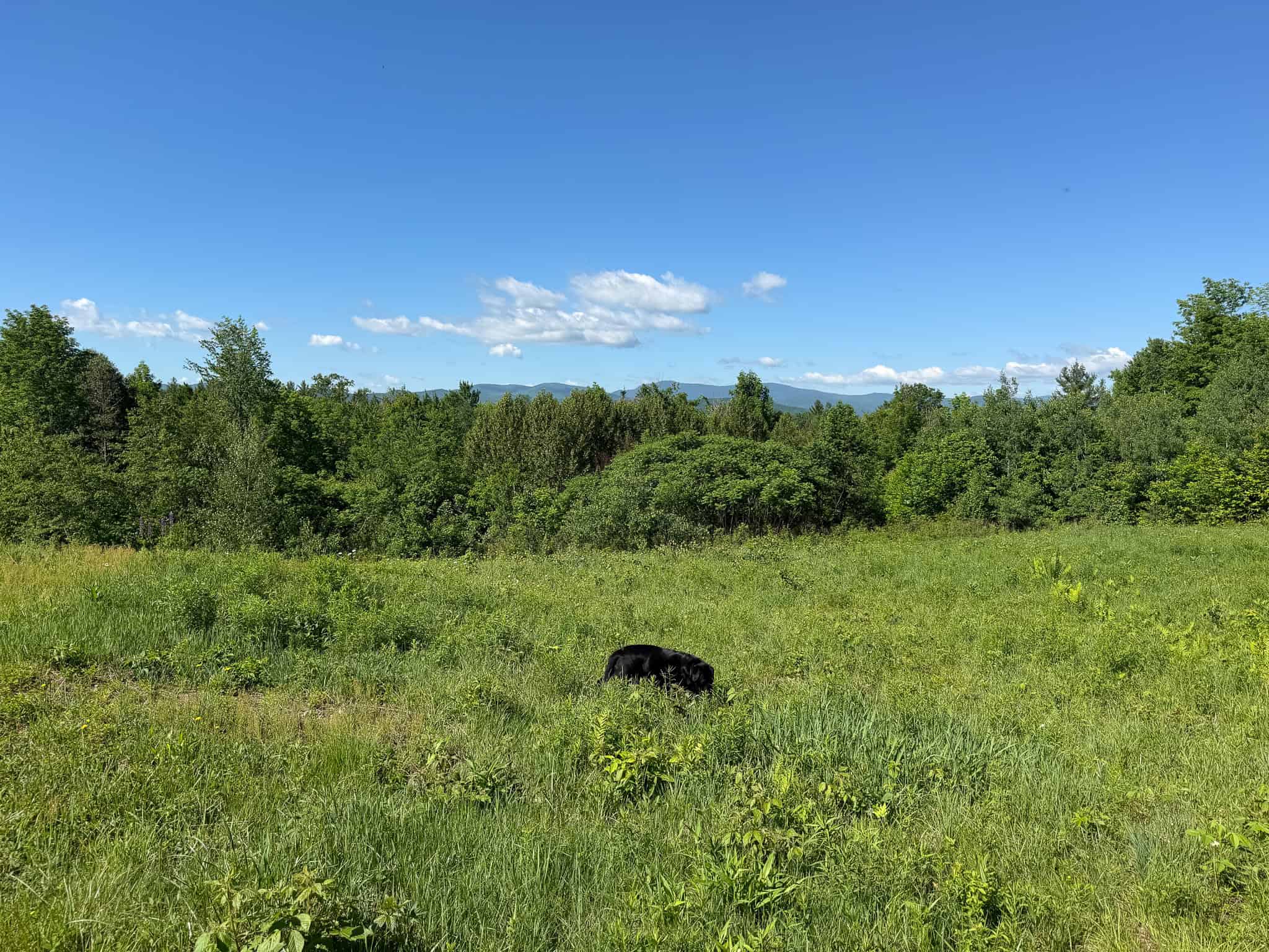 24.72 Surveyed Acres with Mountain Views – Phillips, Maine