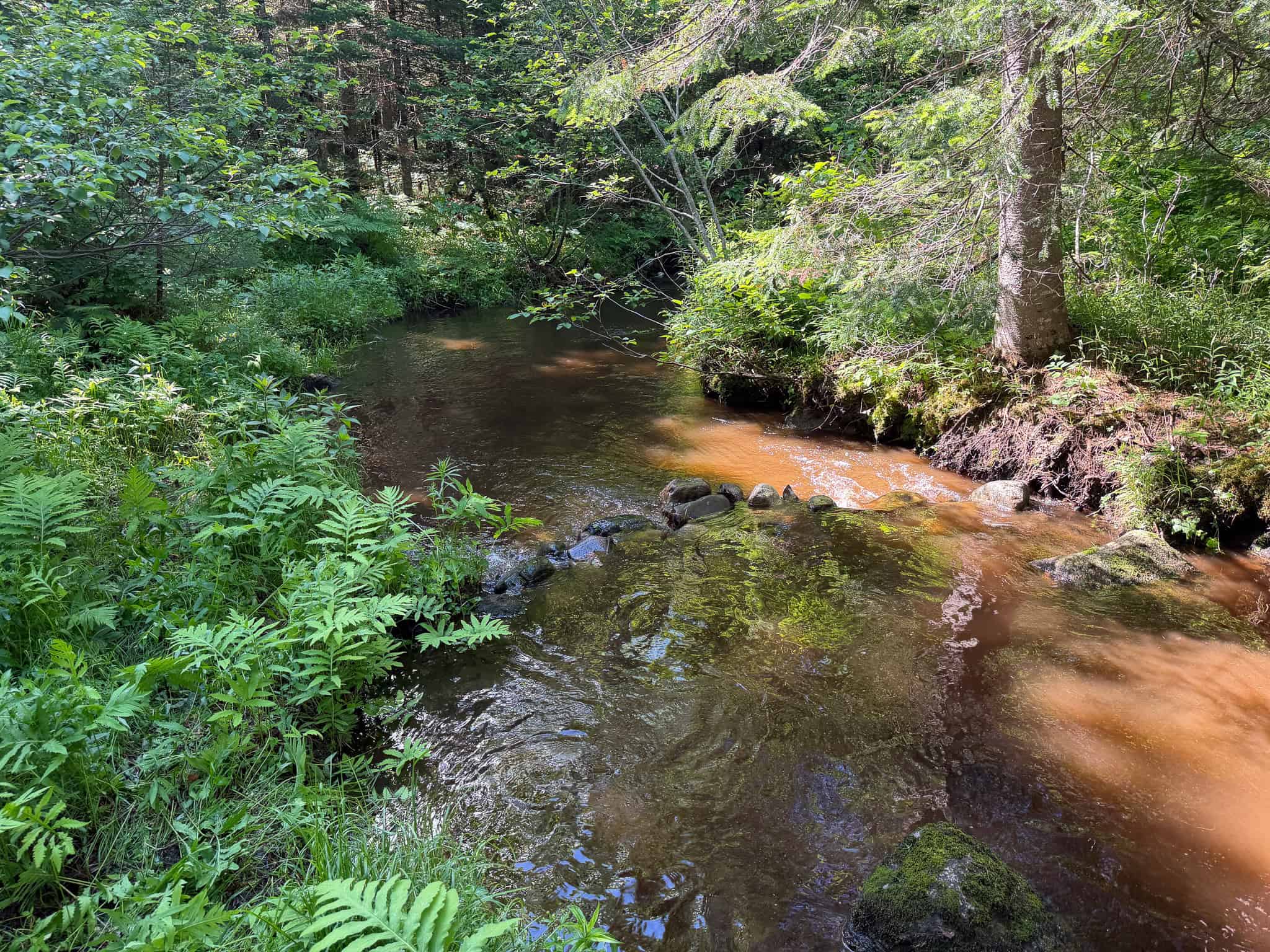 24.72 Surveyed Acres with Mountain Views – Phillips, Maine