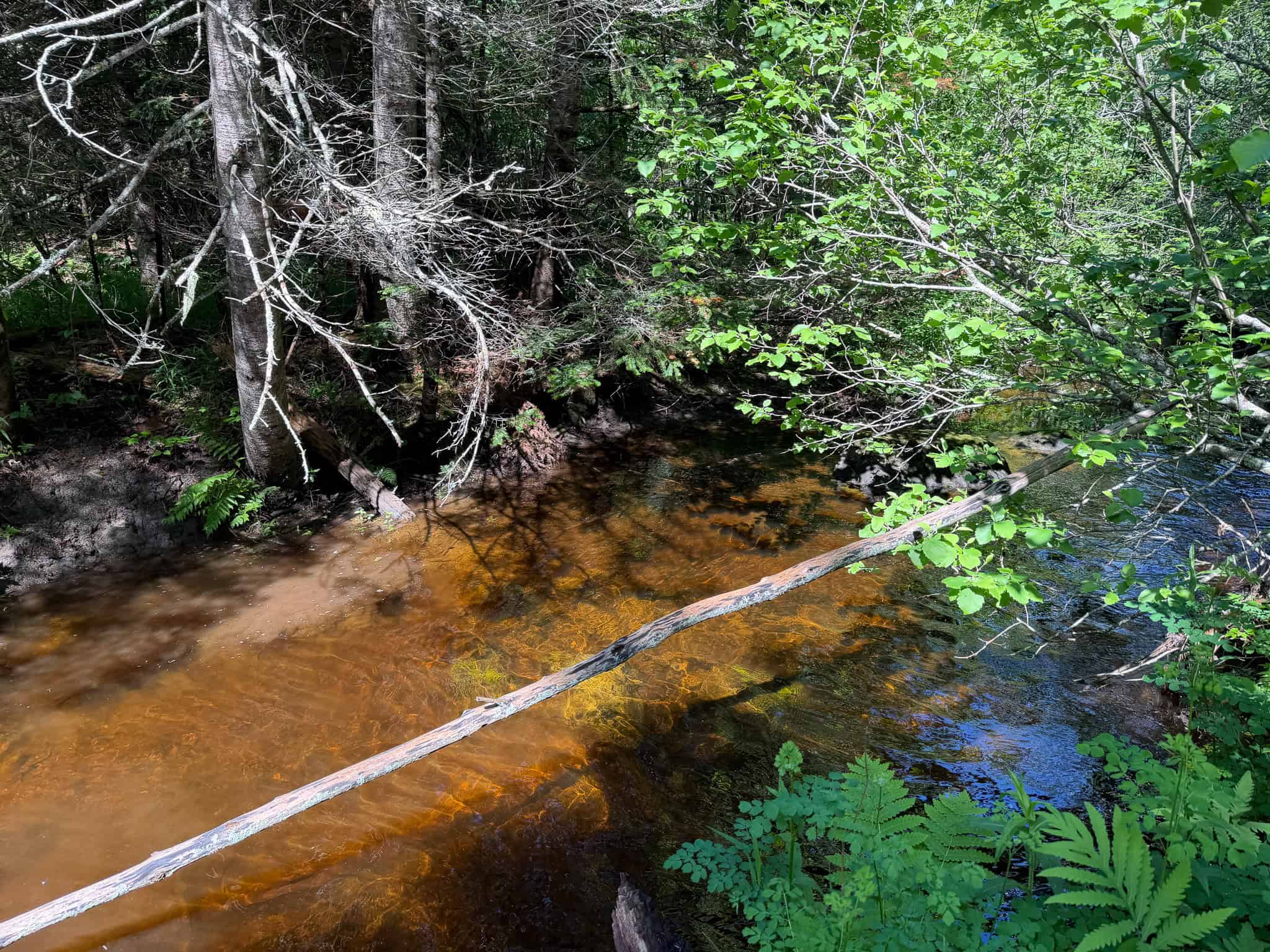 24.72 Surveyed Acres with Mountain Views – Phillips, Maine
